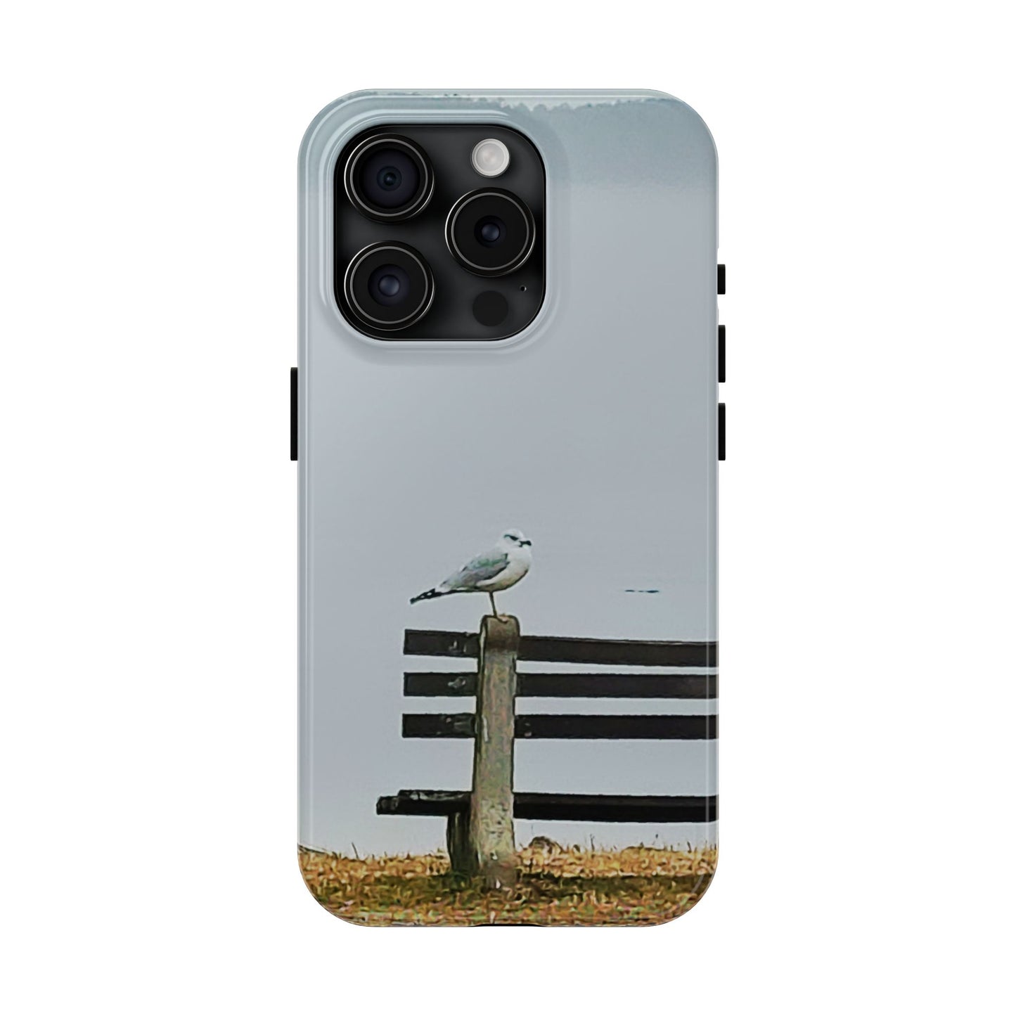 Custom Tough Phone Case for iPhone & Samsung From The Scenery Series at Intriguing Vistas