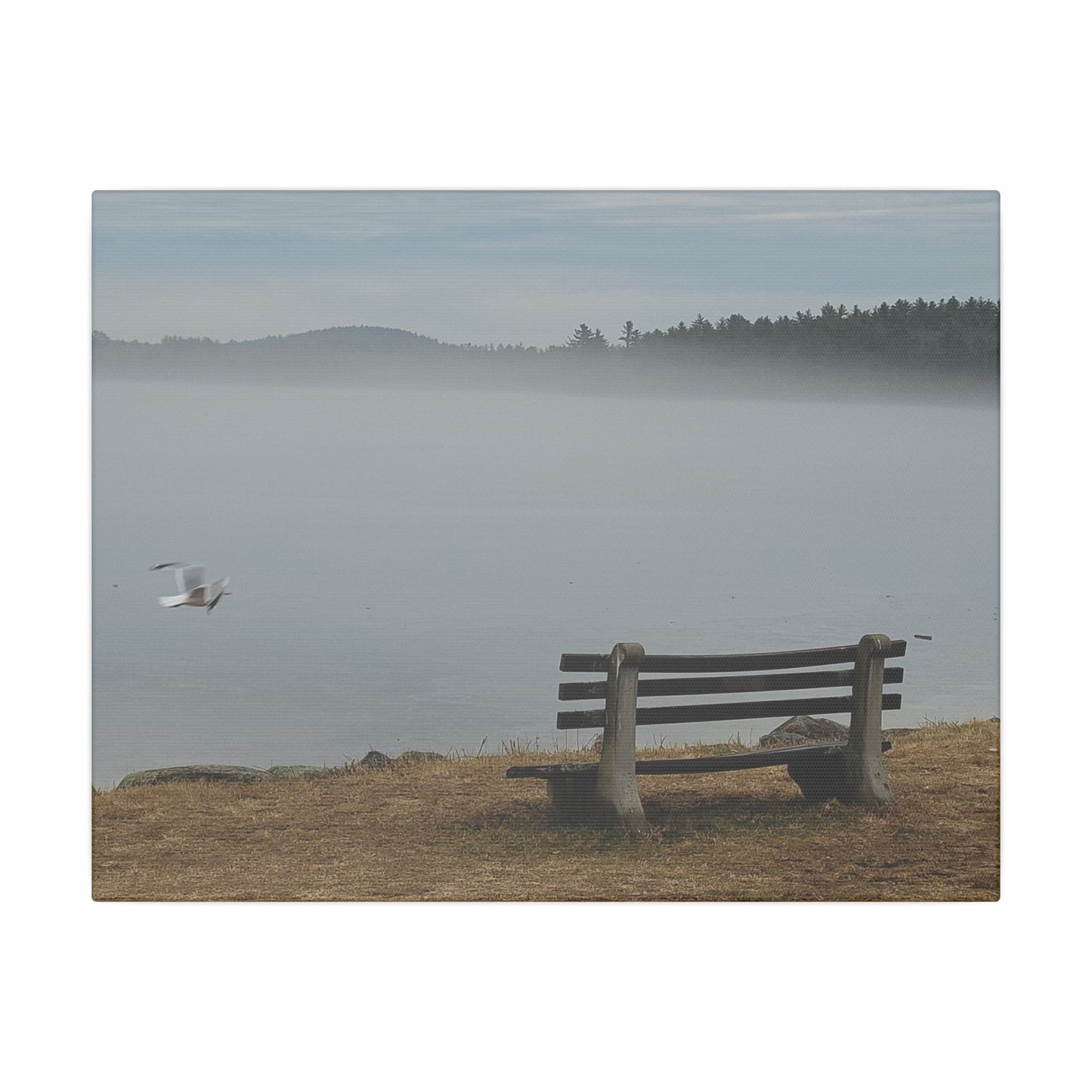 Canvas Print in Multiple Landscape Sizes from the Wildlife Series at Intriguing Vistas