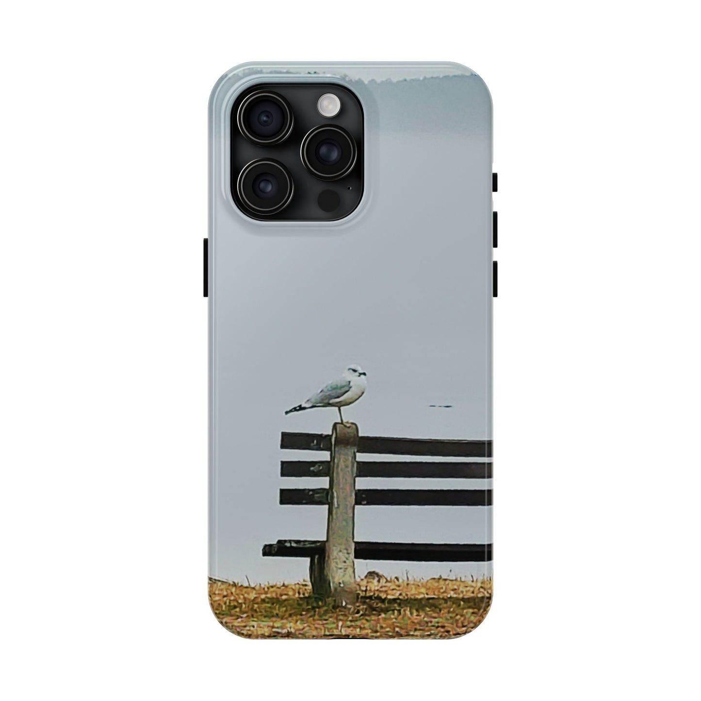 Custom Tough Phone Case for iPhone & Samsung From The Scenery Series at Intriguing Vistas