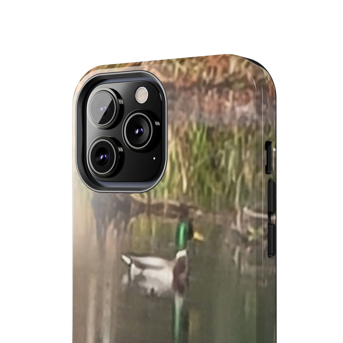Custom Tough Phone Case for iPhone & Samsung From The Wildlife Series at Intriguing Vistas