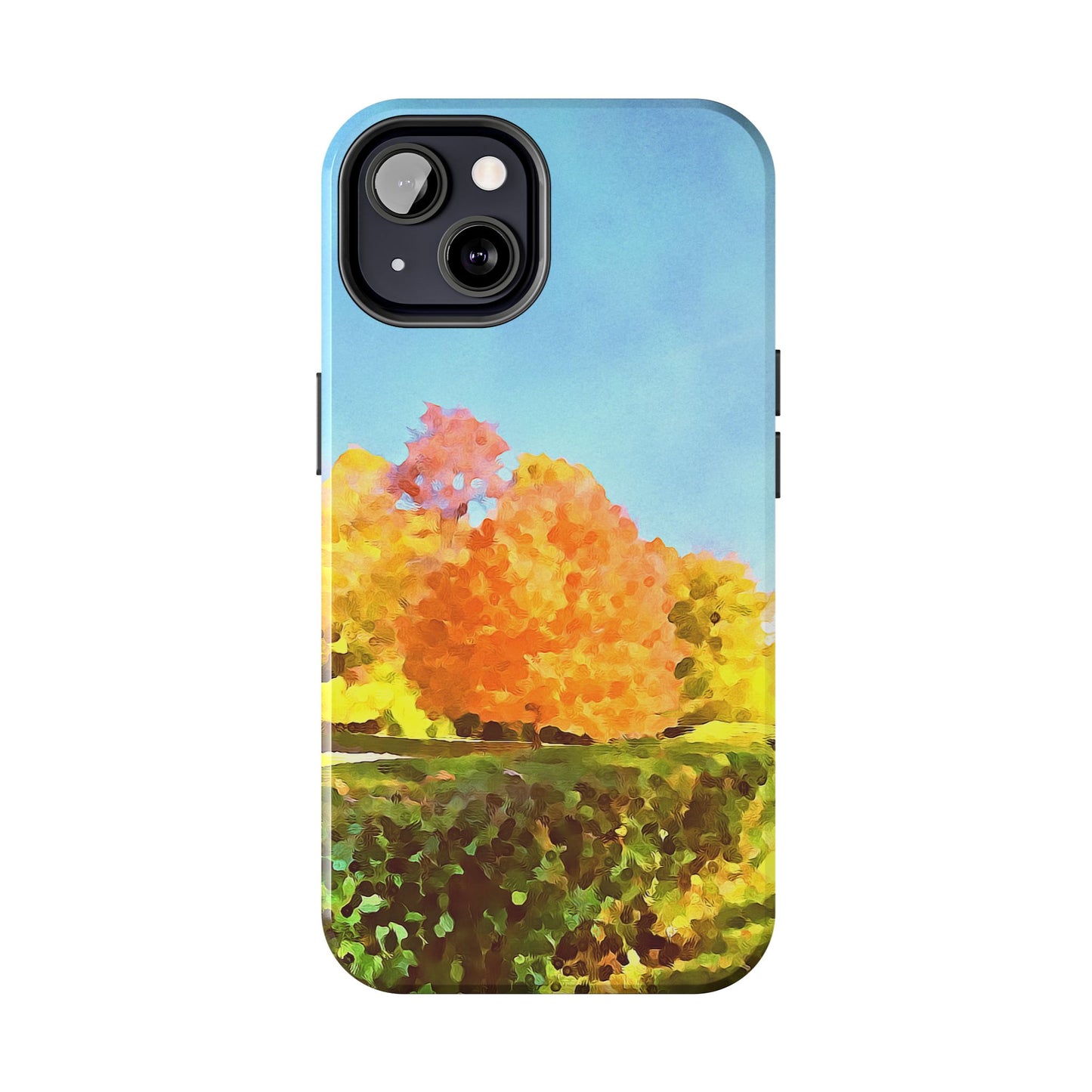 Custom Tough Phone Case for iPhone & Samsung From The Scenery Series at Intriguing Vistas