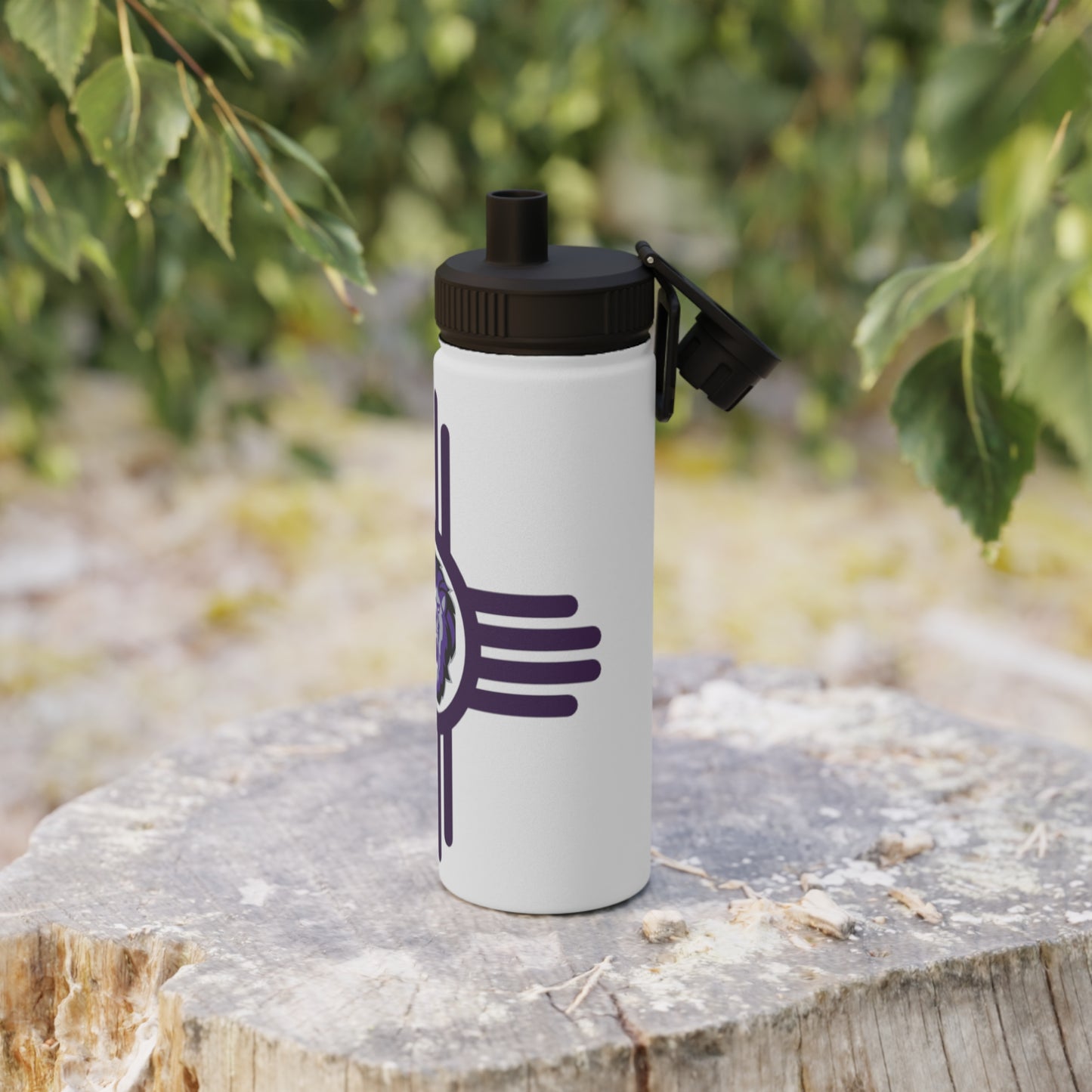 Santa Rosa Stainless Steel Water Bottle, Sports Lid