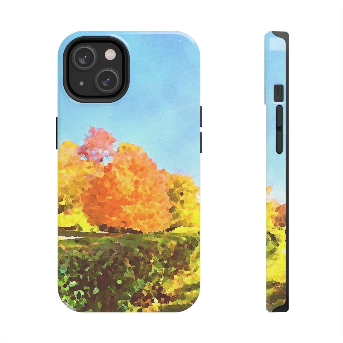 Custom Tough Phone Case for iPhone & Samsung From The Scenery Series at Intriguing Vistas