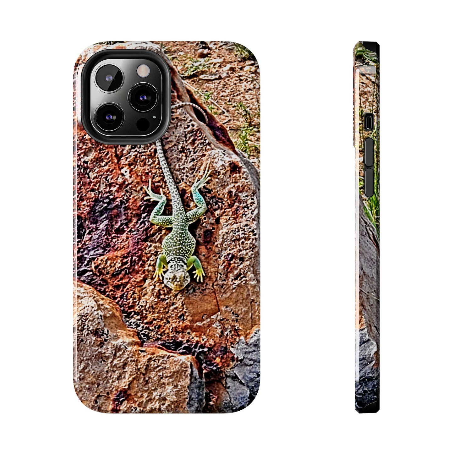 Custom Tough Phone Case for iPhone & Samsung From The Wildlife Series at Intriguing Vistas