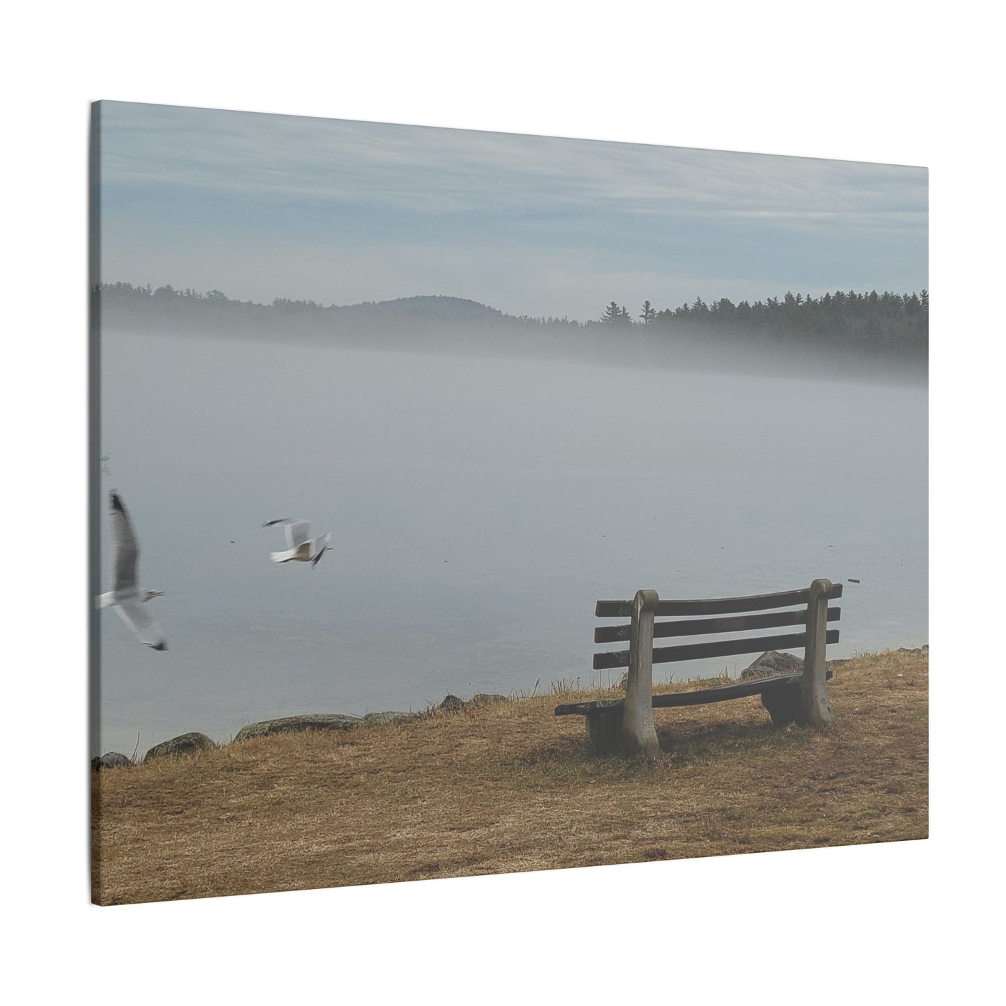 Canvas Print in Multiple Landscape Sizes from the Wildlife Series at Intriguing Vistas