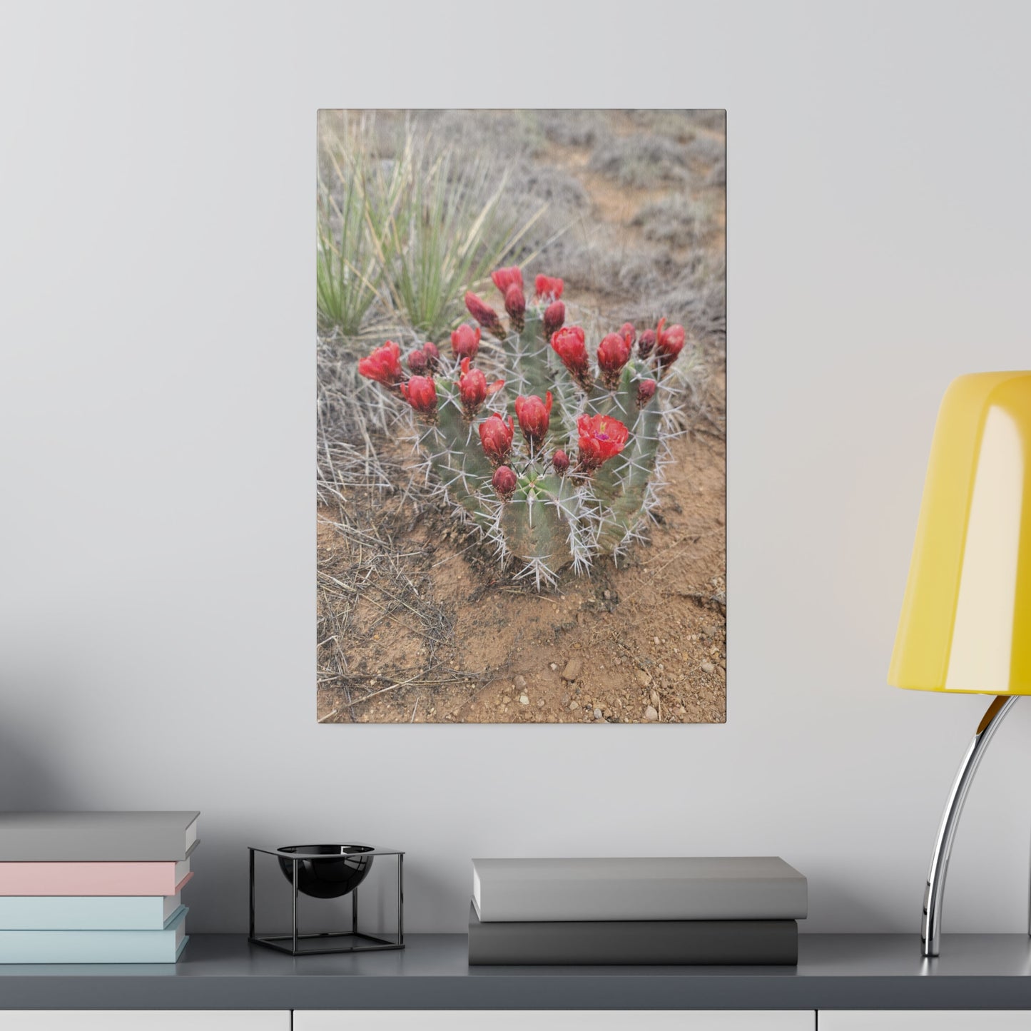 Canvas Print - Cactus Blooms from NM
