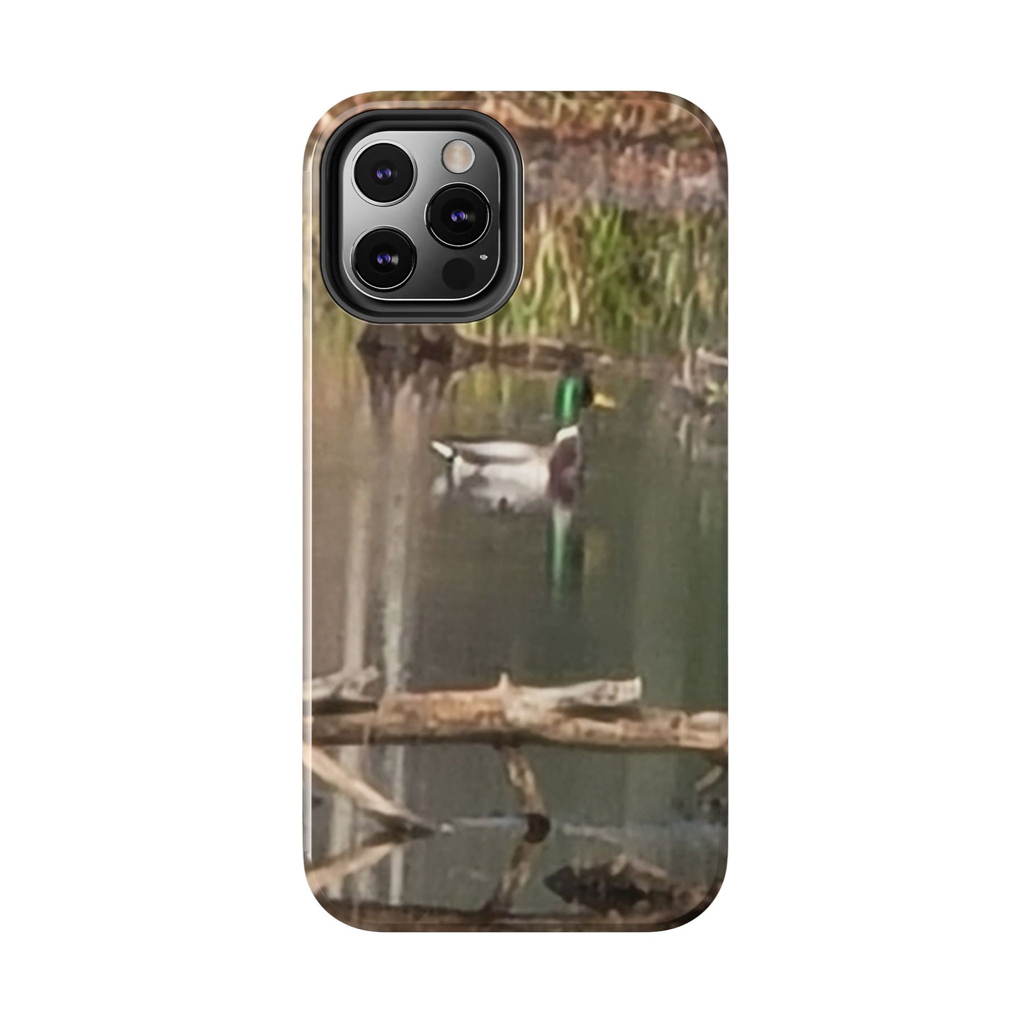 Custom Tough Phone Case for iPhone & Samsung From The Wildlife Series at Intriguing Vistas