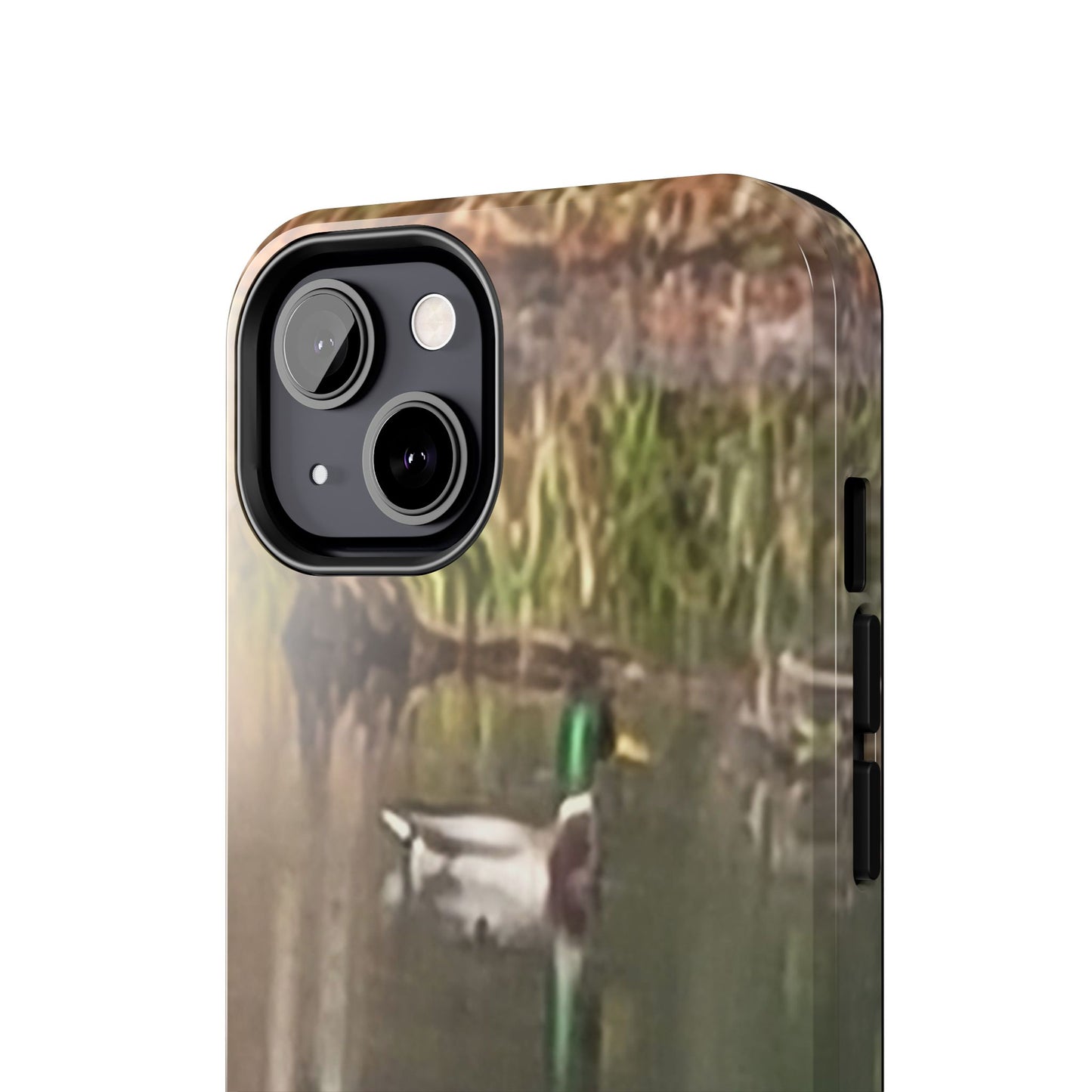 Custom Tough Phone Case for iPhone & Samsung From The Wildlife Series at Intriguing Vistas