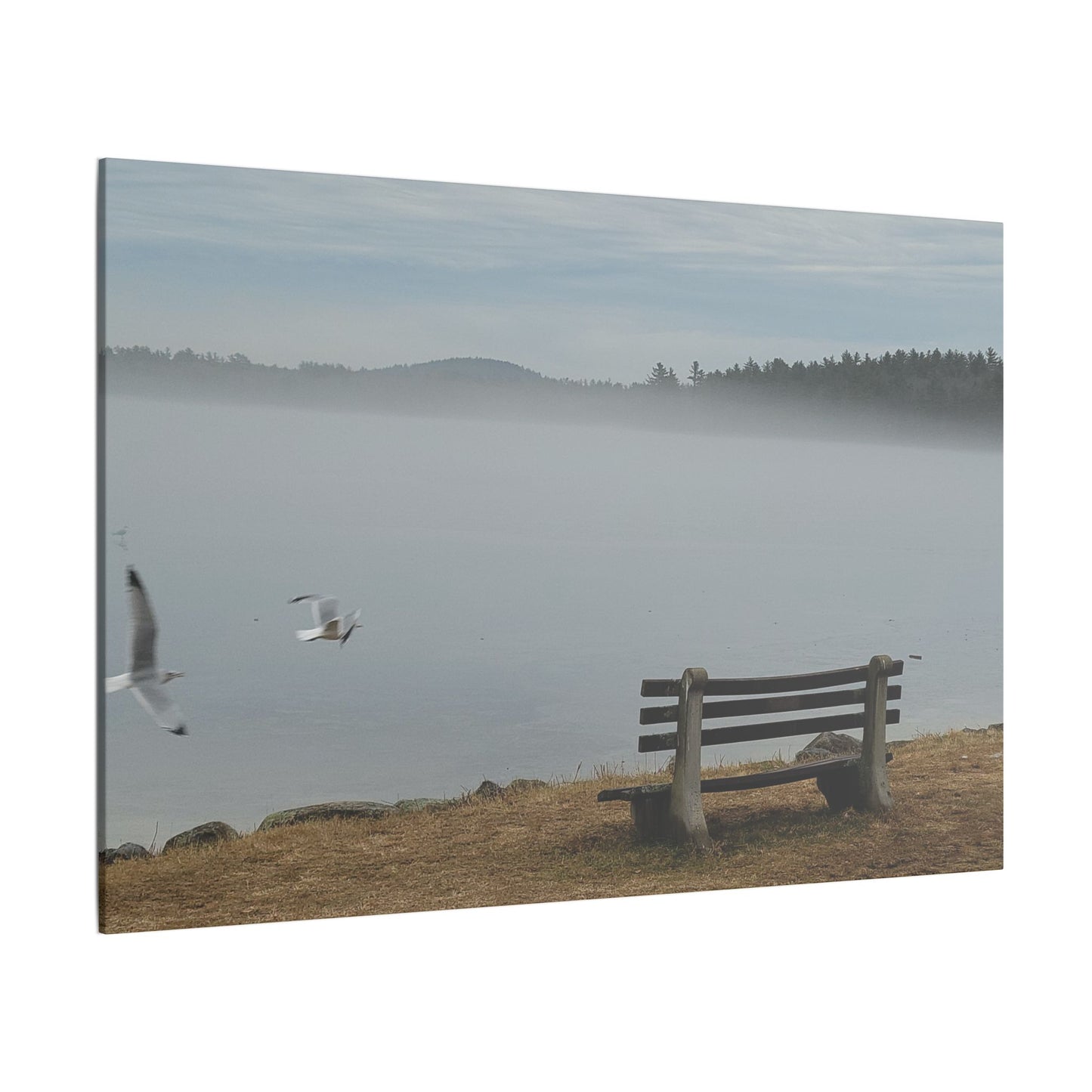 Canvas Print in Multiple Landscape Sizes from the Wildlife Series at Intriguing Vistas