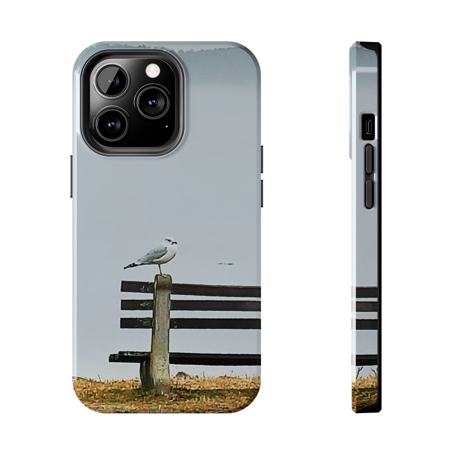 Custom Tough Phone Case for iPhone & Samsung From The Scenery Series at Intriguing Vistas