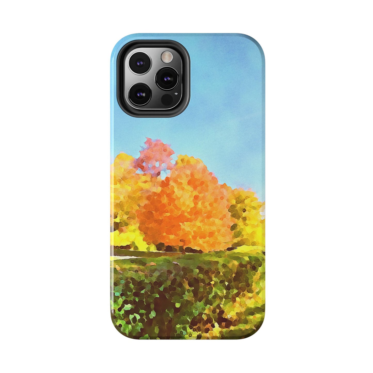 Custom Tough Phone Case for iPhone & Samsung From The Scenery Series at Intriguing Vistas