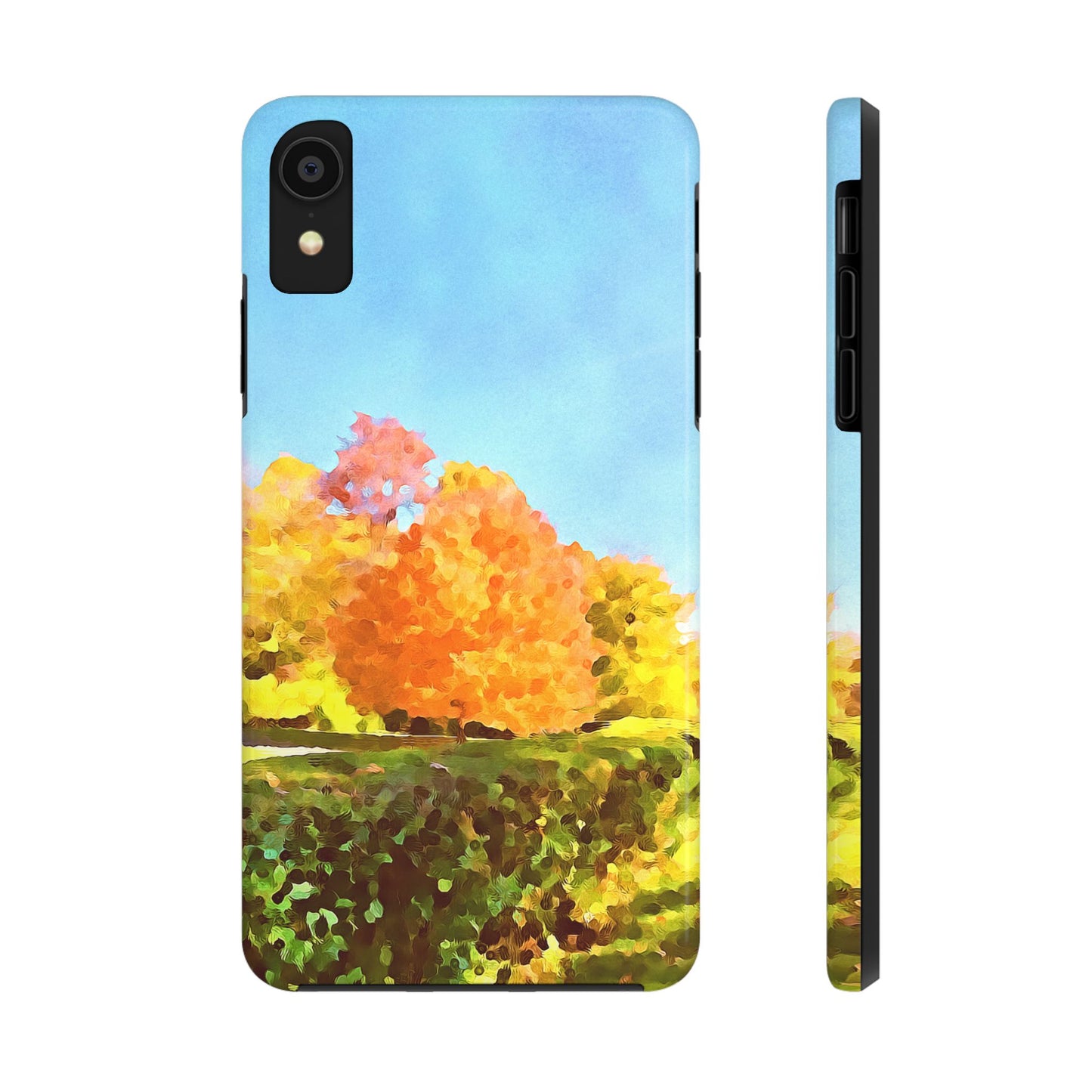 Custom Tough Phone Case for iPhone & Samsung From The Scenery Series at Intriguing Vistas