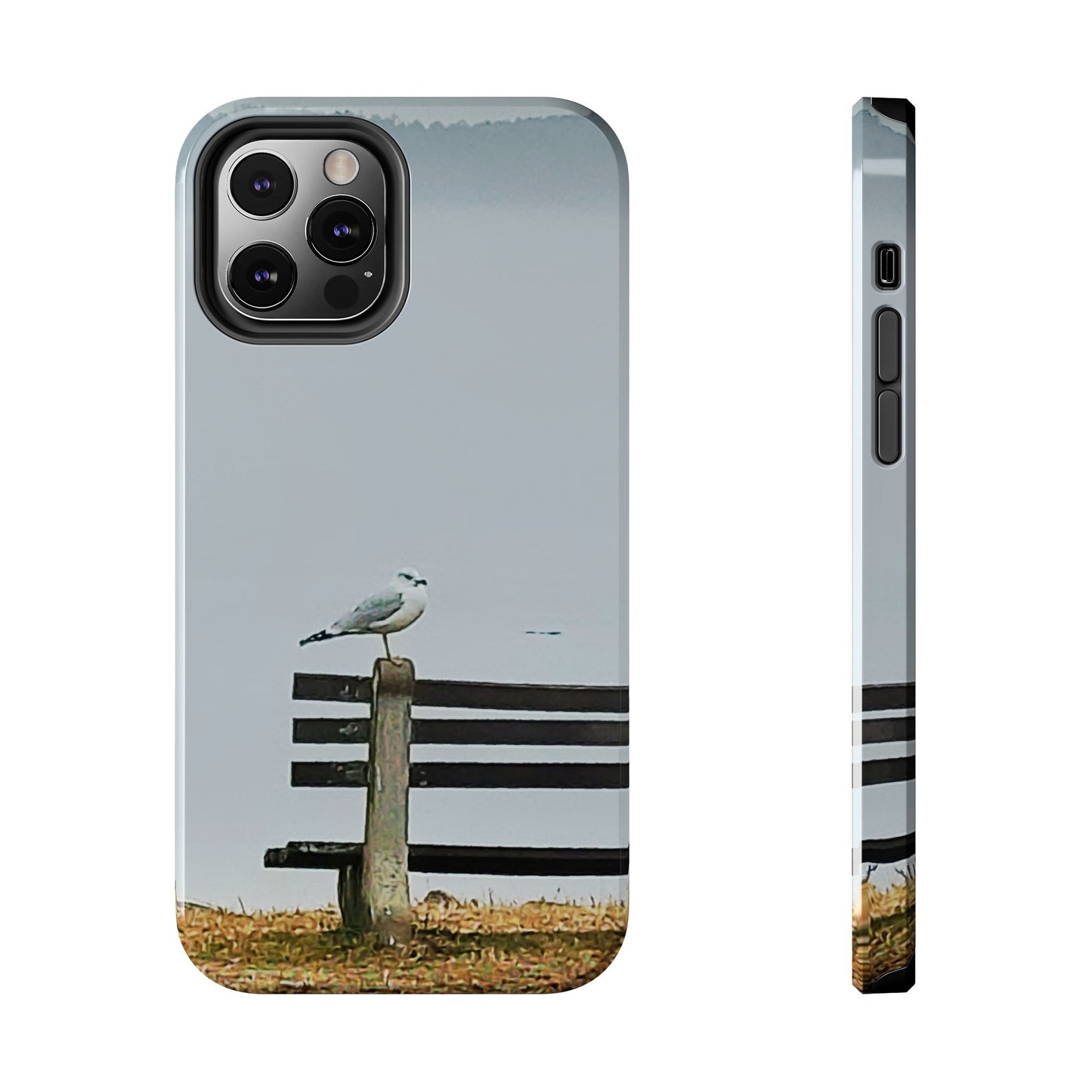 Custom Tough Phone Case for iPhone & Samsung From The Scenery Series at Intriguing Vistas