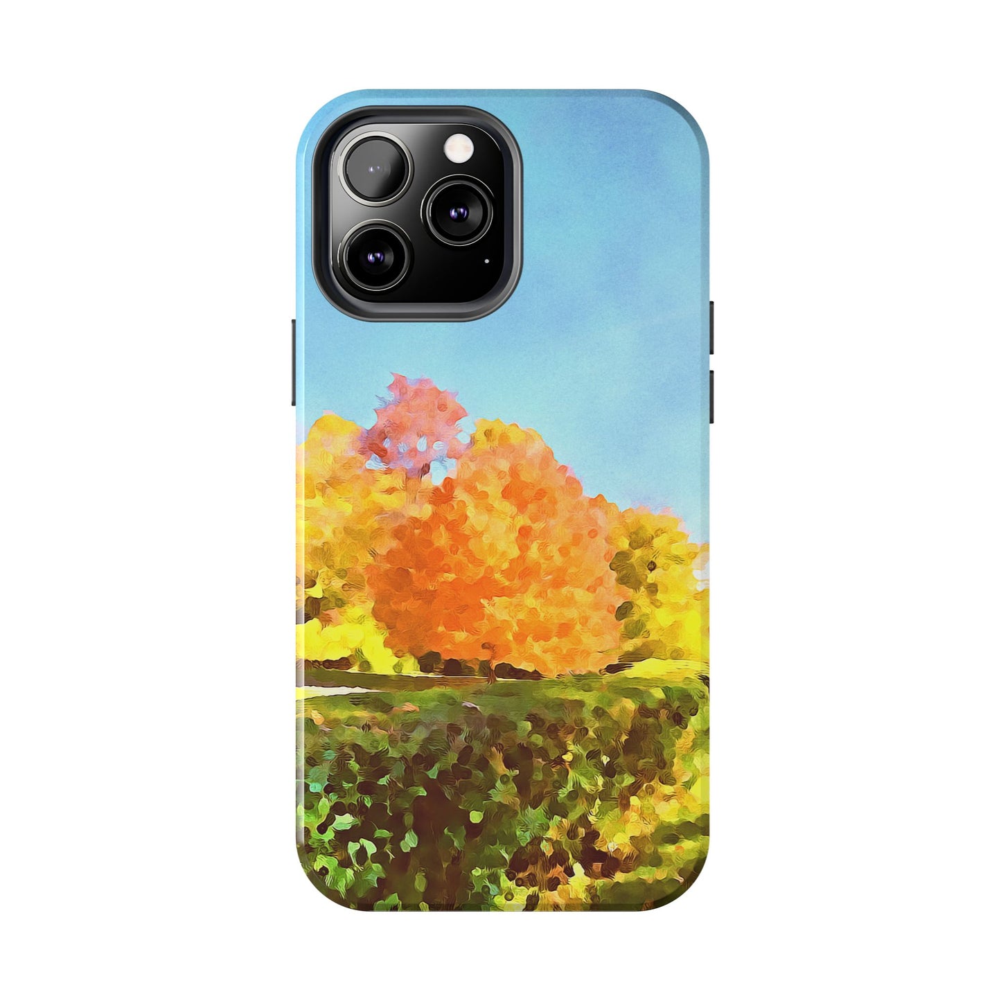 Custom Tough Phone Case for iPhone & Samsung From The Scenery Series at Intriguing Vistas