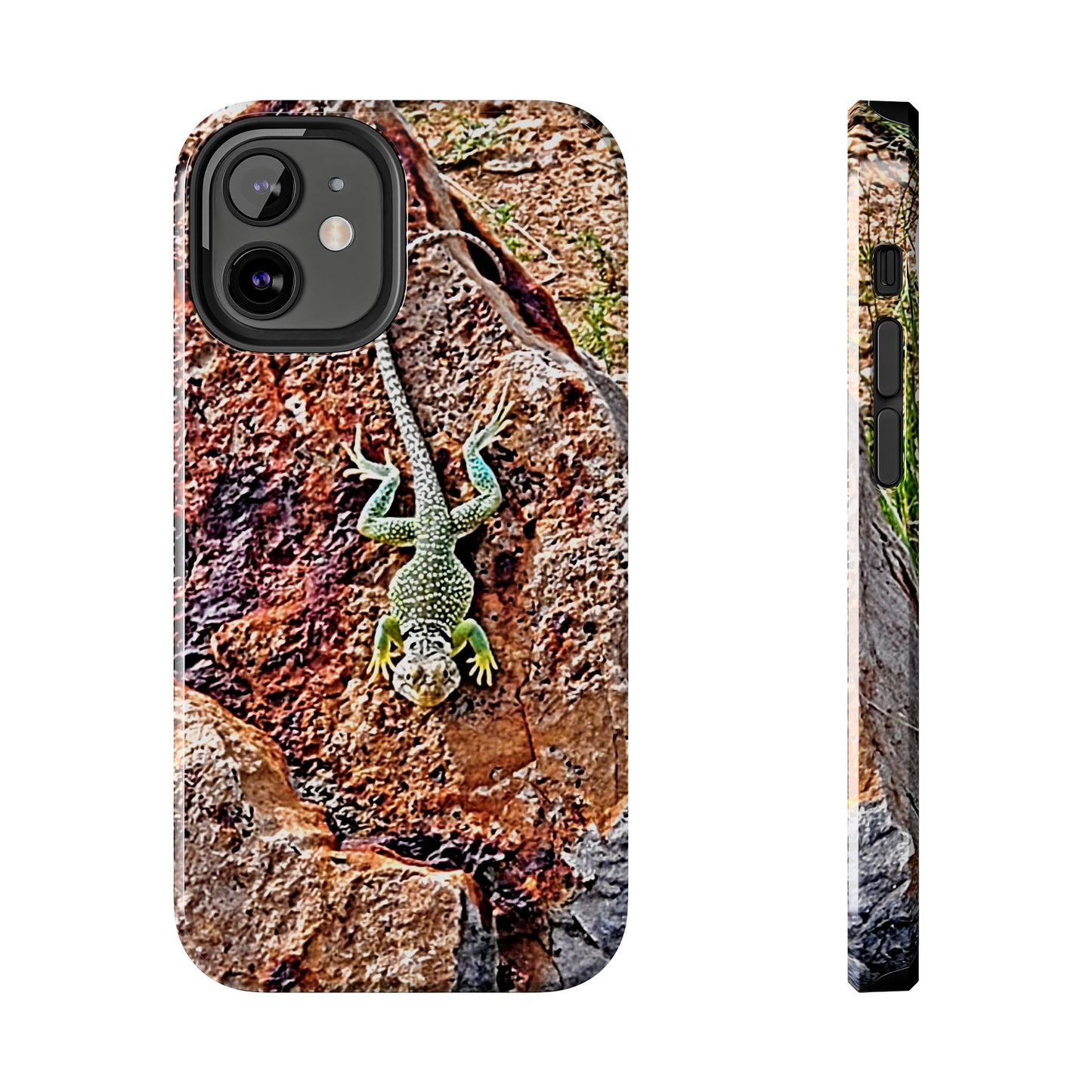 Custom Tough Phone Case for iPhone & Samsung From The Wildlife Series at Intriguing Vistas