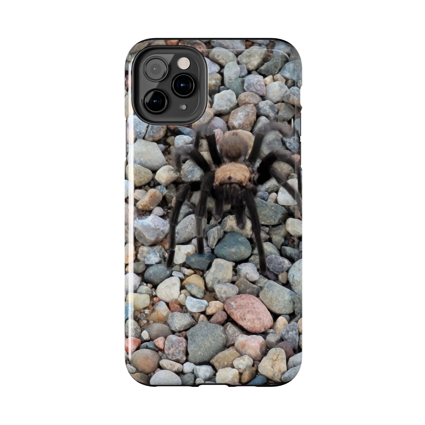 Custom Tough Phone Case for iPhone & Samsung From The Wildlife Series at Intriguing Vistas