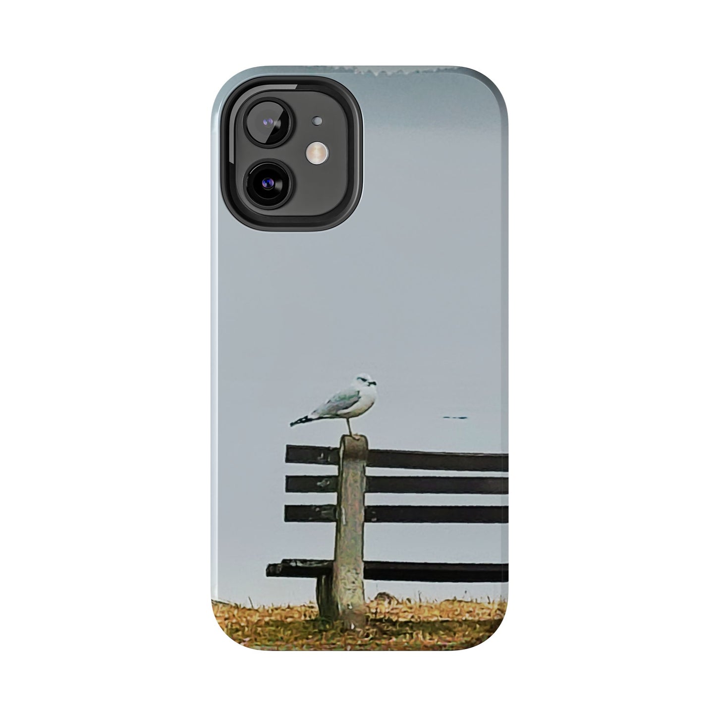 Custom Tough Phone Case for iPhone & Samsung From The Scenery Series at Intriguing Vistas