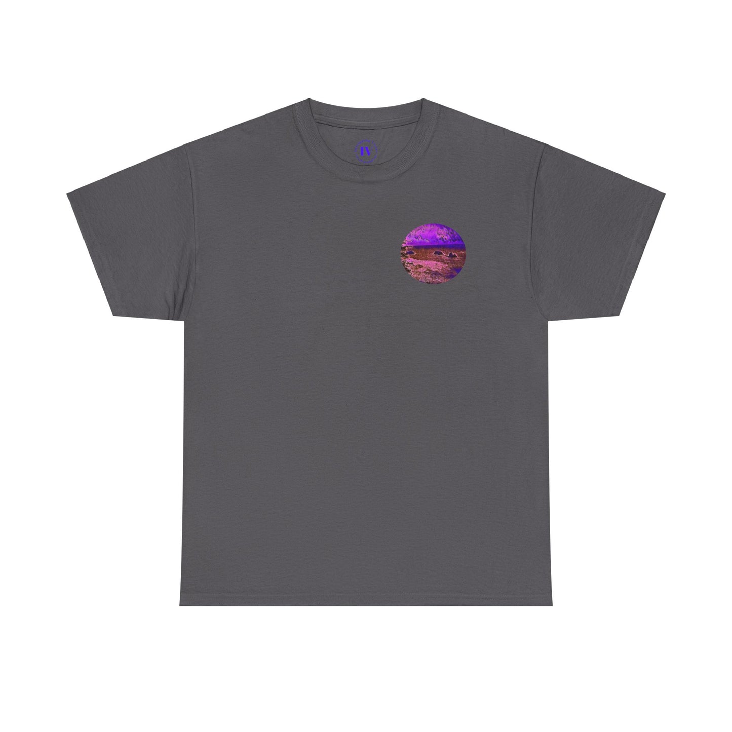 Gildan 5000 Unisex Adult Heavy Cotton Tee Available In Multiple Colors from the Scenery Series at Intriguing Vistas