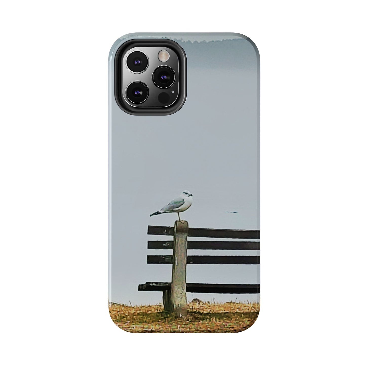 Custom Tough Phone Case for iPhone & Samsung From The Scenery Series at Intriguing Vistas