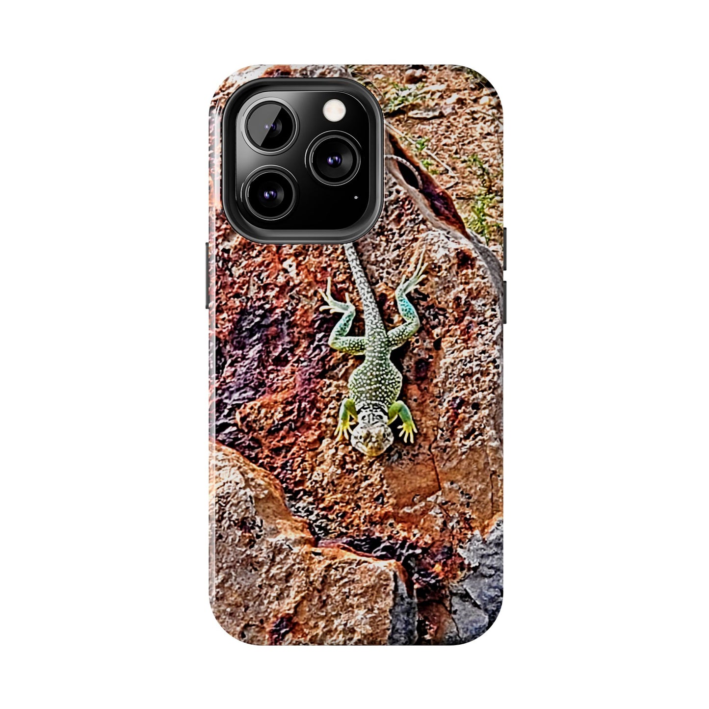 Custom Tough Phone Case for iPhone & Samsung From The Wildlife Series at Intriguing Vistas