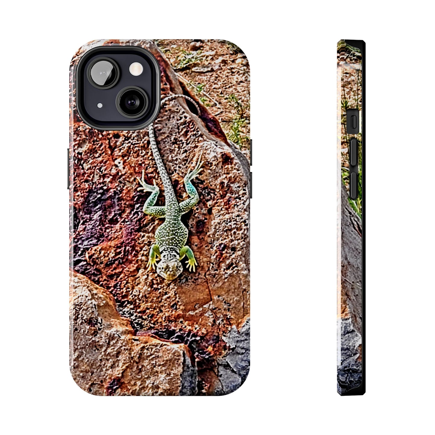 Custom Tough Phone Case for iPhone & Samsung From The Wildlife Series at Intriguing Vistas