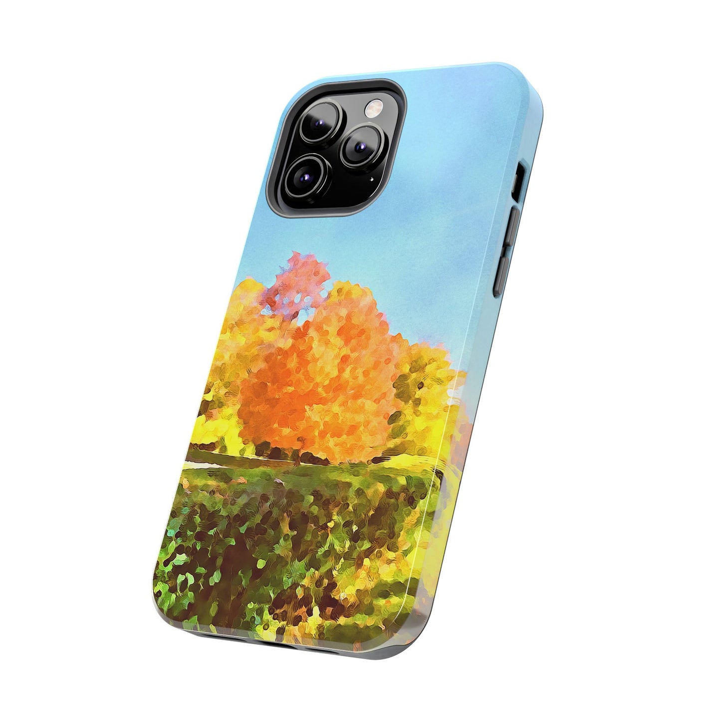 Custom Tough Phone Case for iPhone & Samsung From The Scenery Series at Intriguing Vistas
