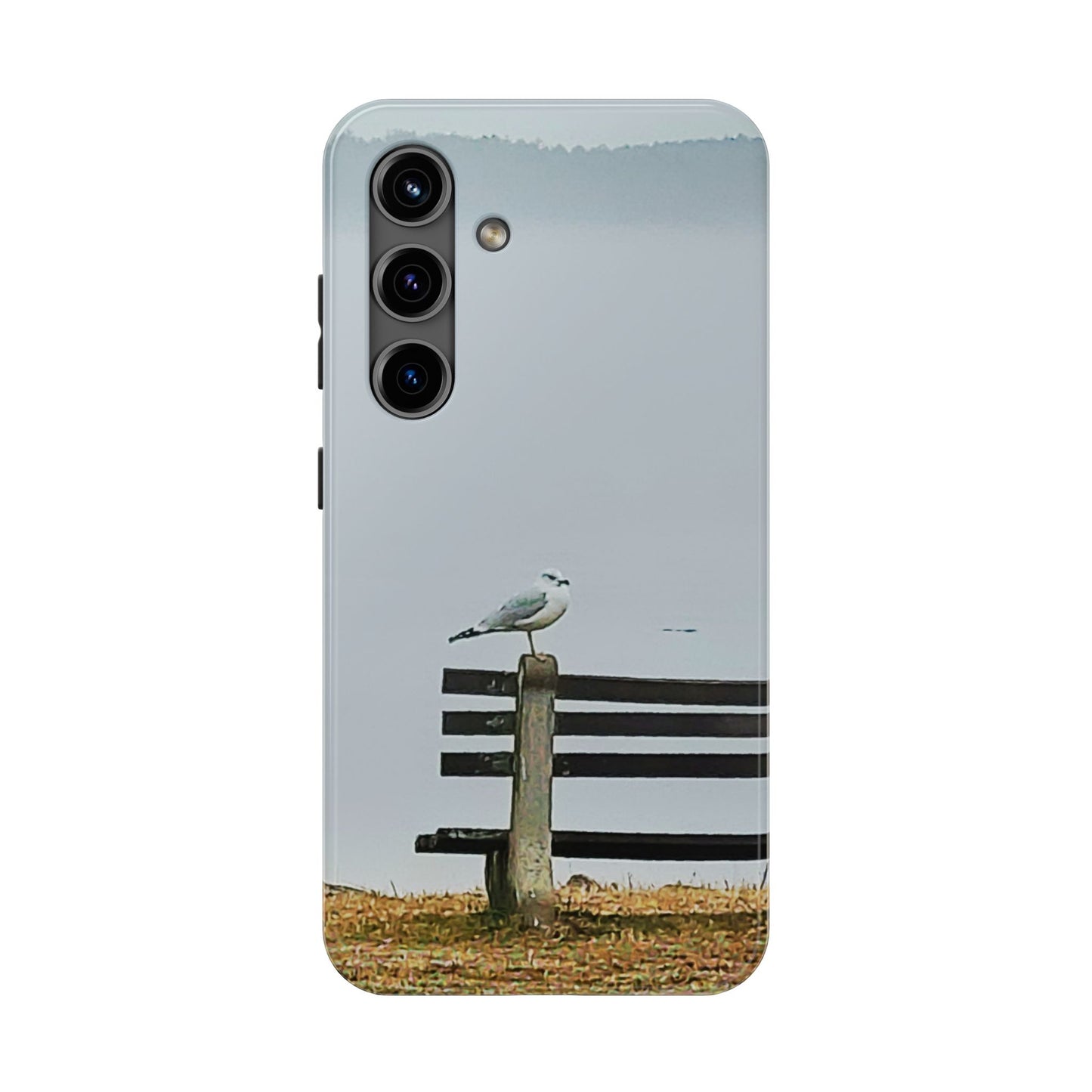 Custom Tough Phone Case for iPhone & Samsung From The Scenery Series at Intriguing Vistas