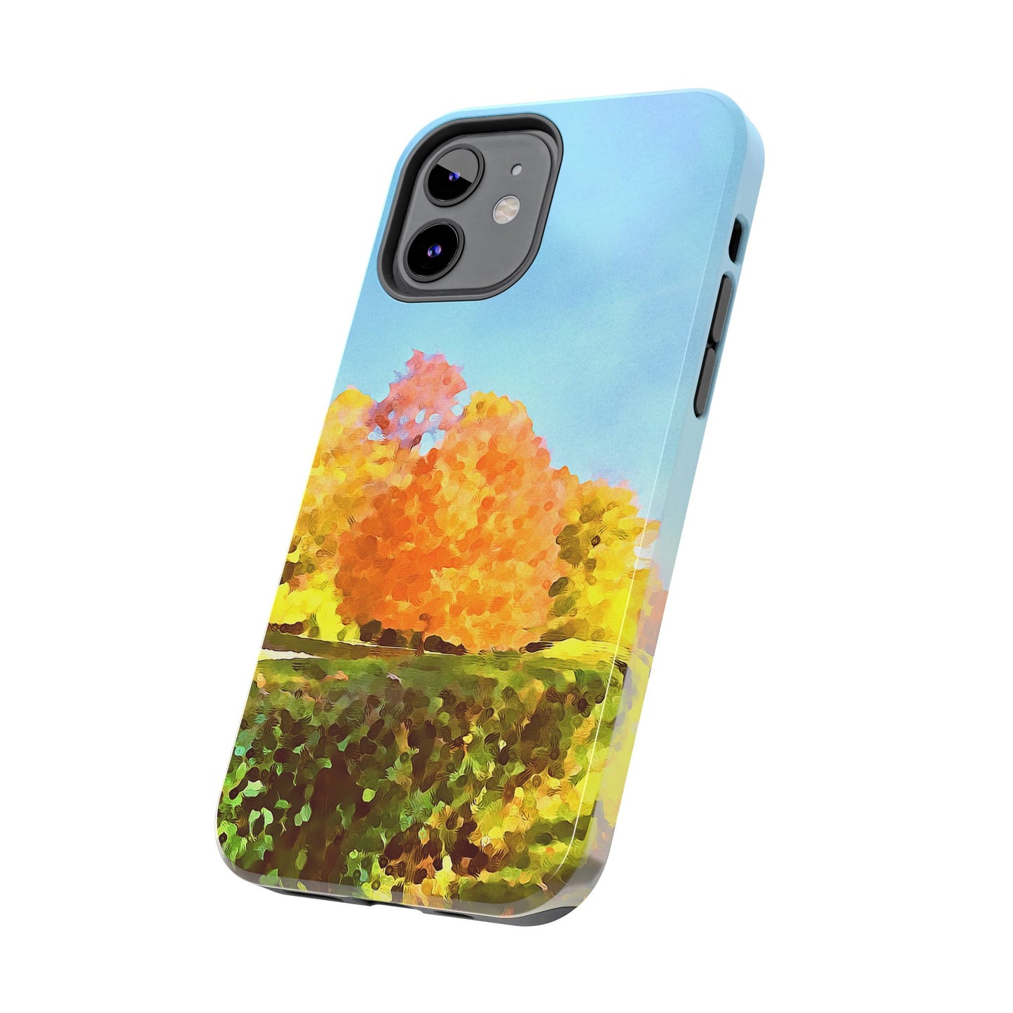 Custom Tough Phone Case for iPhone & Samsung From The Scenery Series at Intriguing Vistas