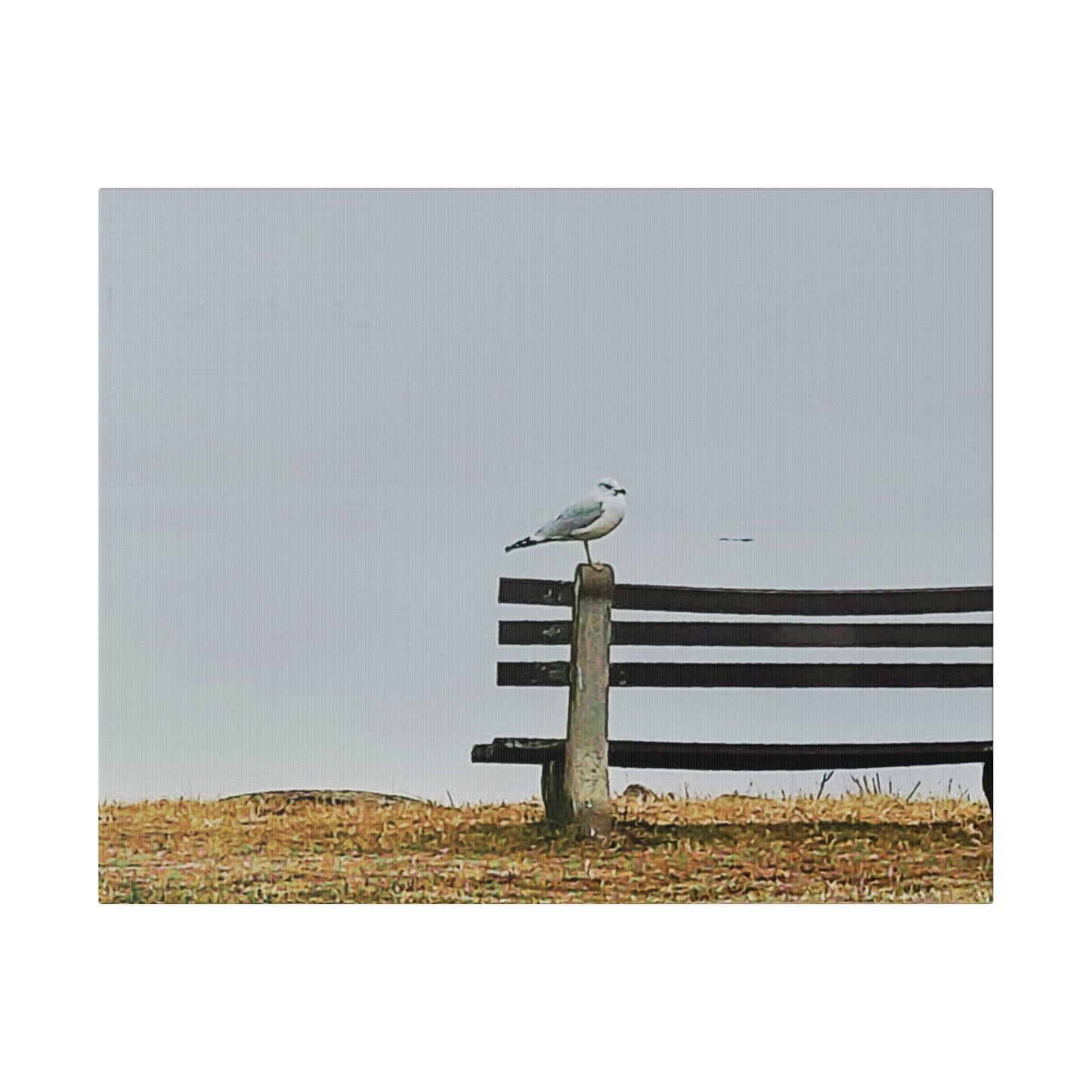 Canvas Print in Multiple Landscape Sizes from the Wildlife Series at Intriguing Vistas