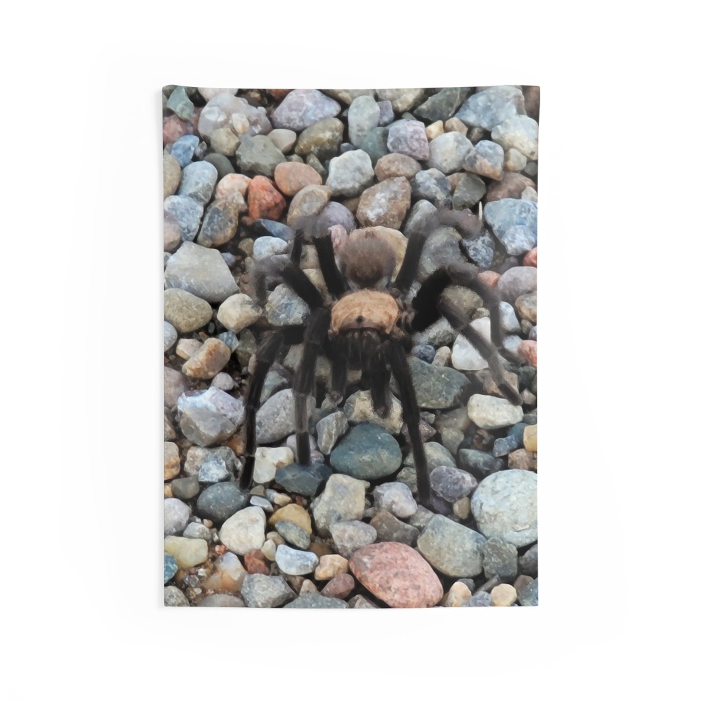 Custom Printed Wall Tapestry Available In Multiple Sizes From The Wildlife Series At Intriguing Vistas