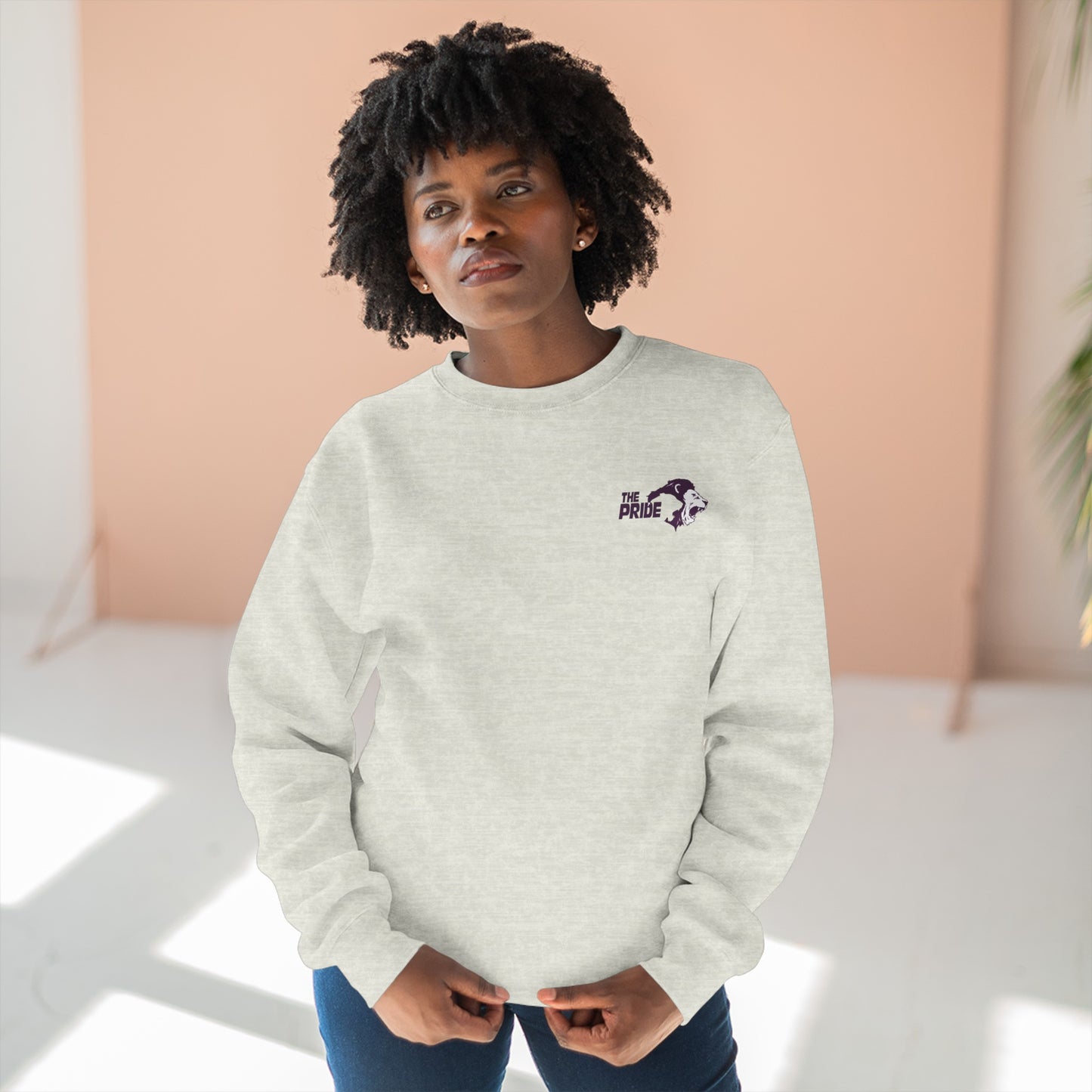 Lane Seven LS14004 Unisex Adult Crewneck Sweatshirt for Santa Rosa - Intriguing Vistas