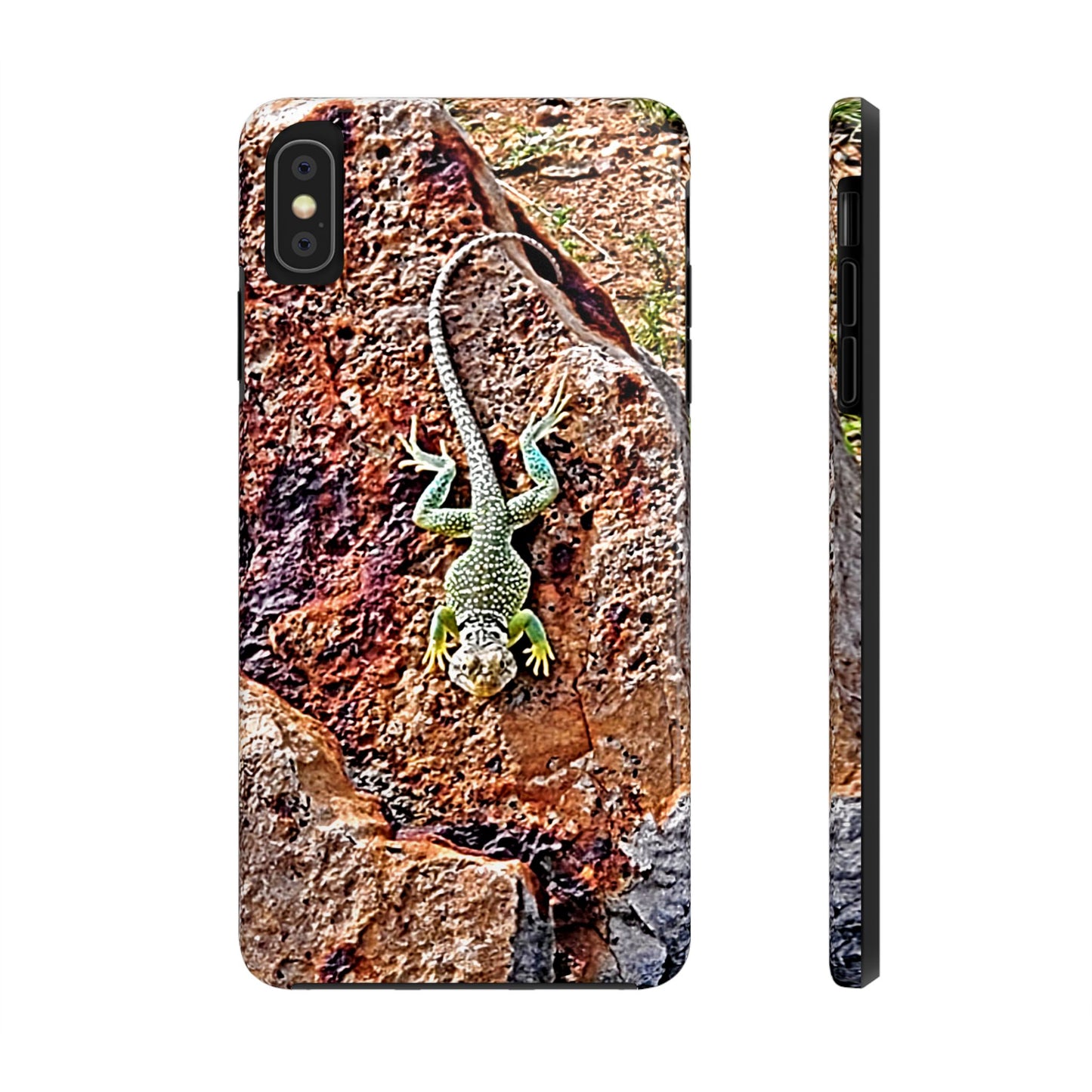 Custom Tough Phone Case for iPhone & Samsung From The Wildlife Series at Intriguing Vistas