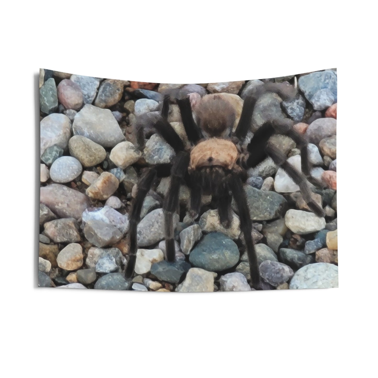 Custom Printed Wall Tapestry Available In Multiple Sizes From The Wildlife Series At Intriguing Vistas