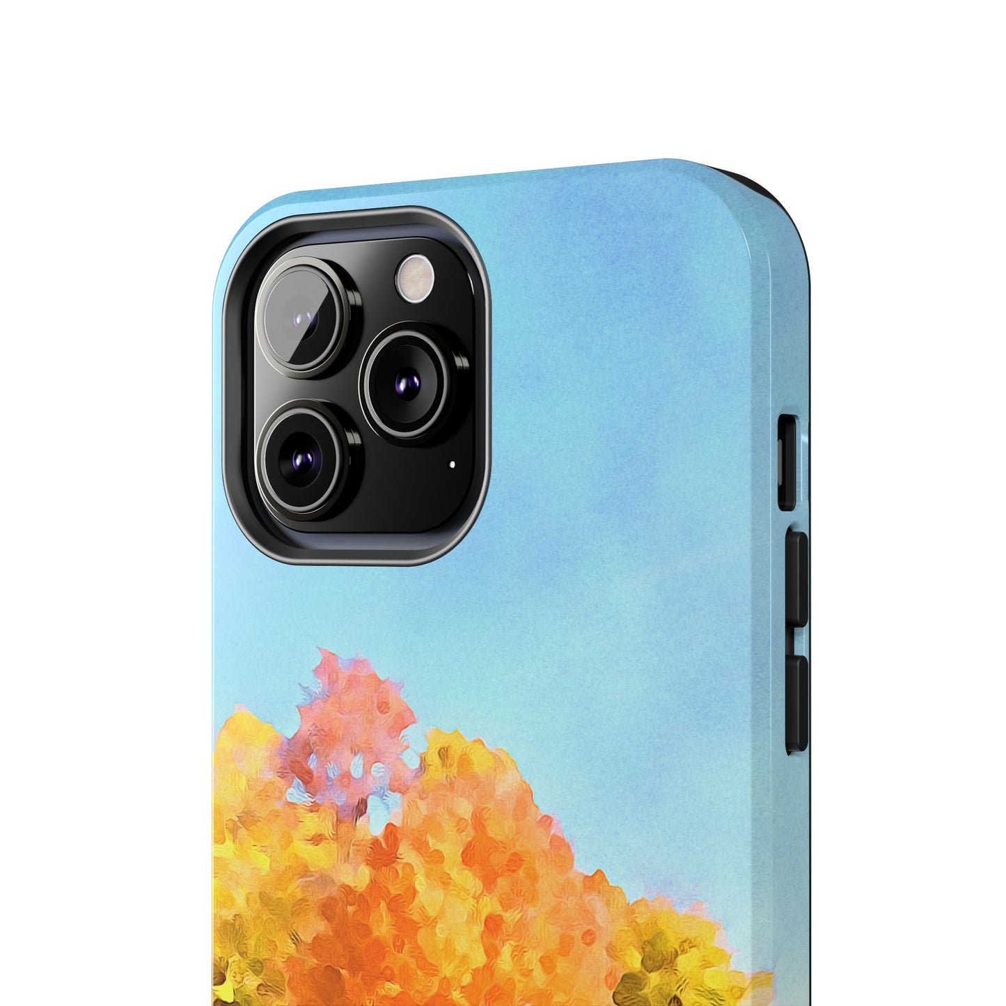 Custom Tough Phone Case for iPhone & Samsung From The Scenery Series at Intriguing Vistas