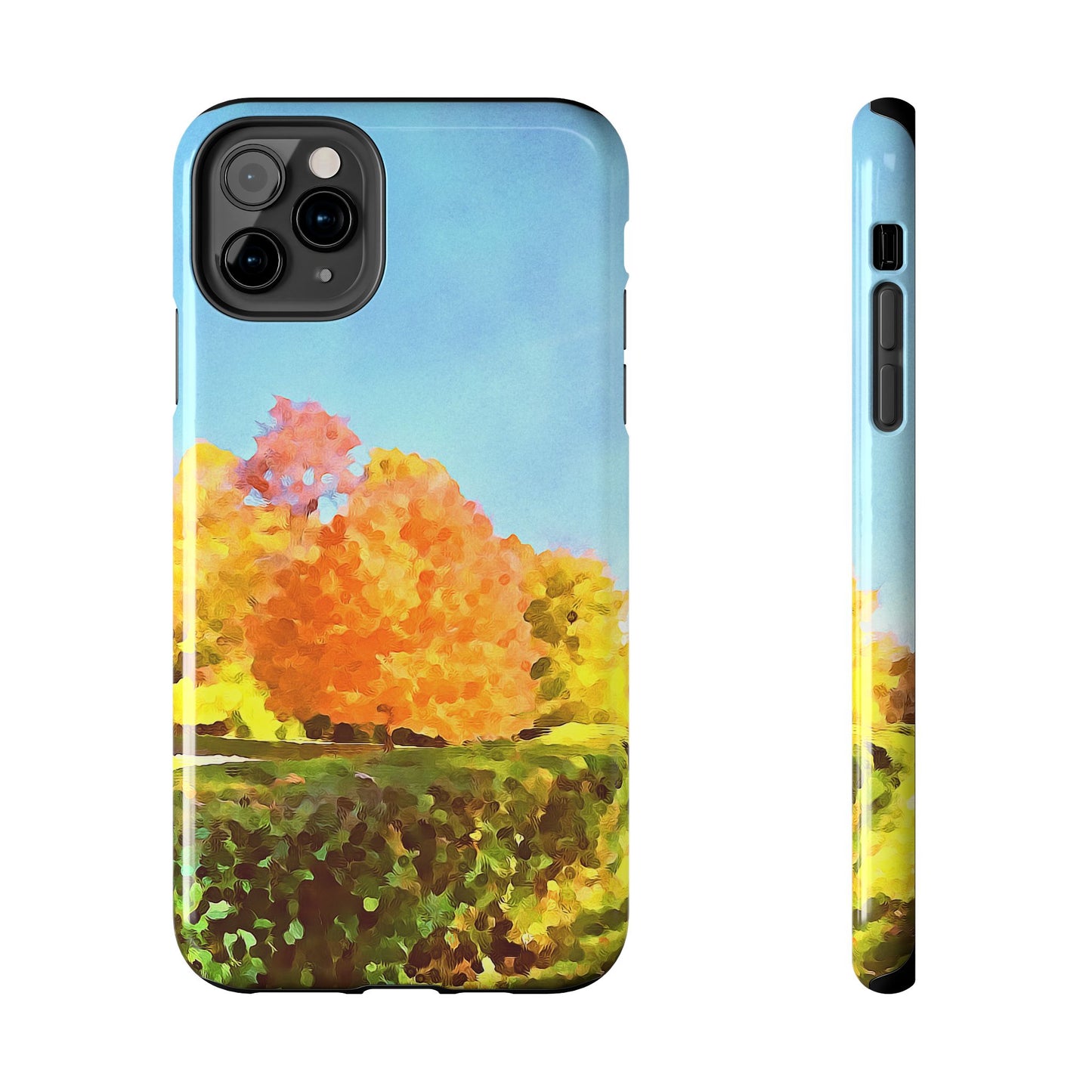 Custom Tough Phone Case for iPhone & Samsung From The Scenery Series at Intriguing Vistas