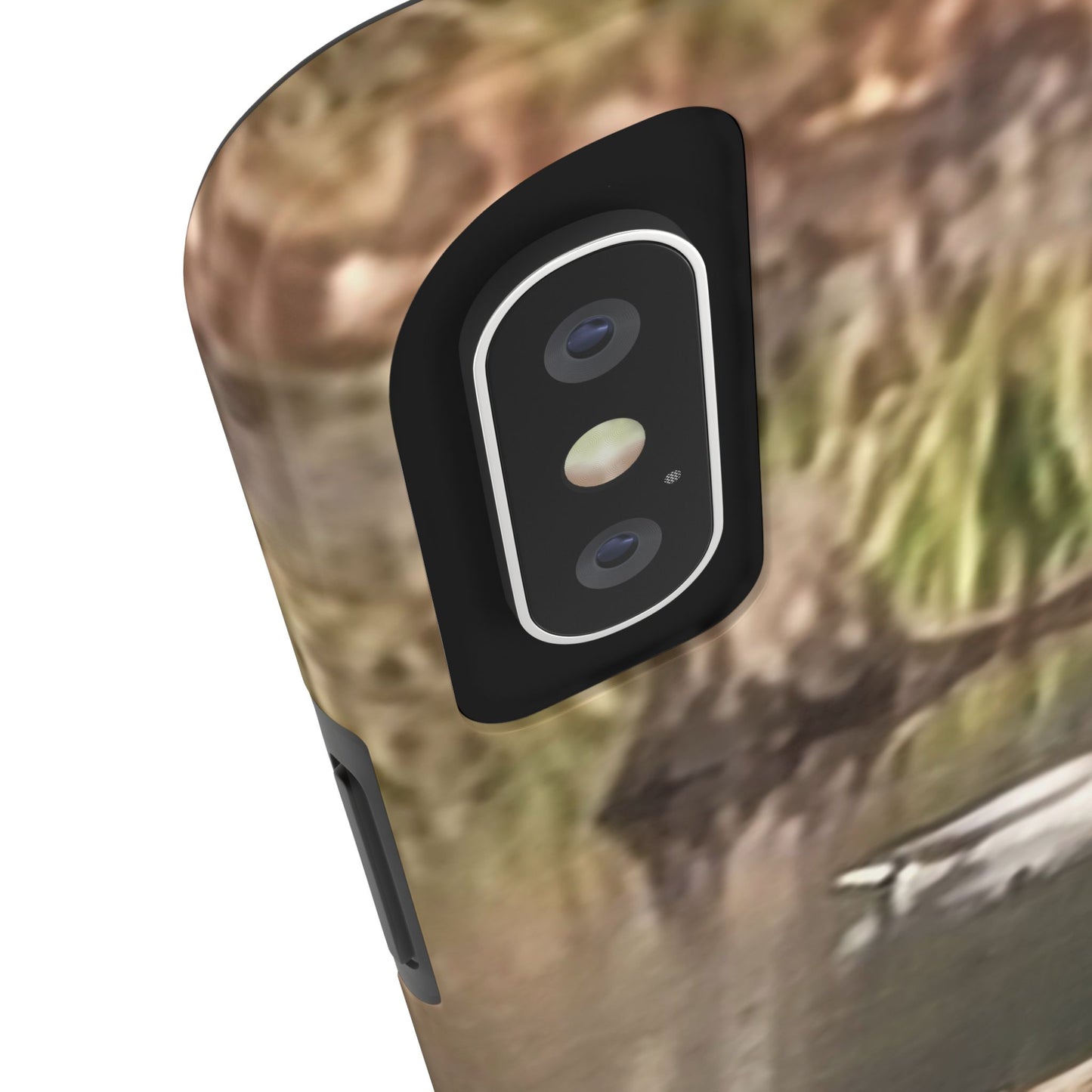 Custom Tough Phone Case for iPhone & Samsung From The Wildlife Series at Intriguing Vistas