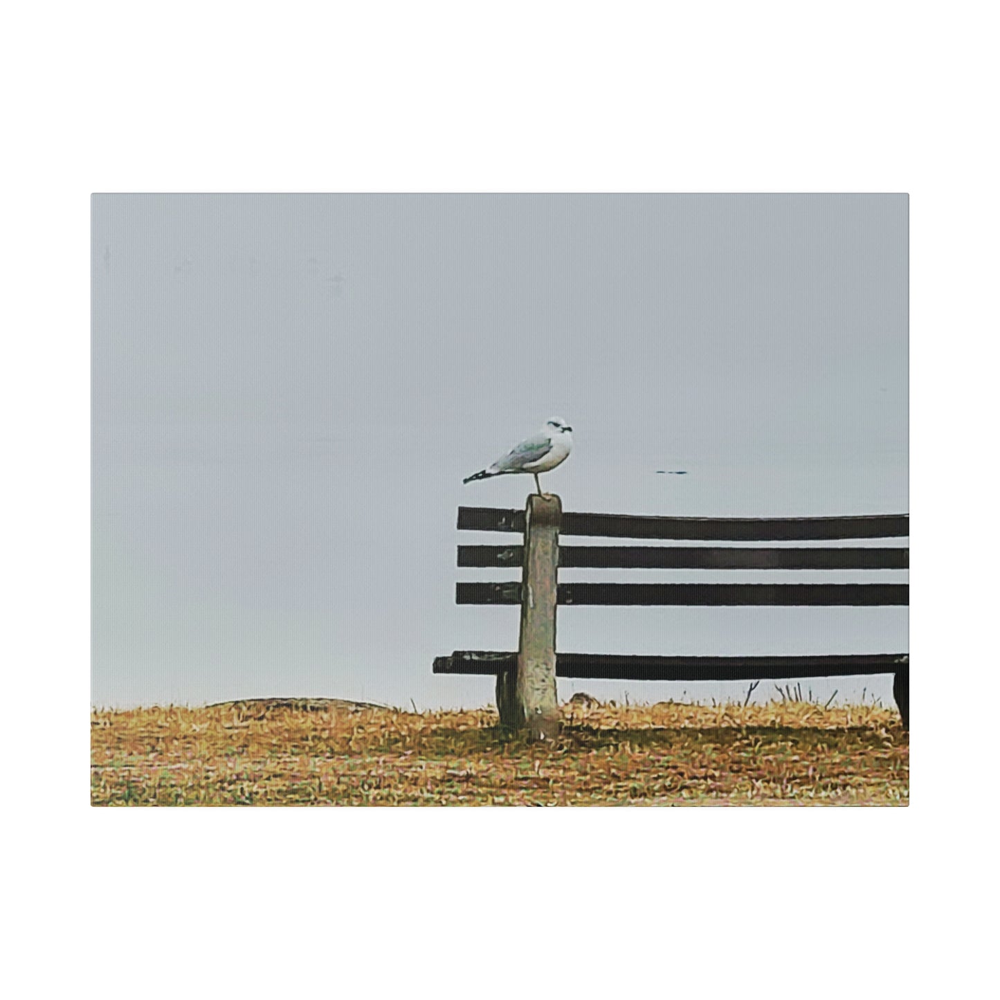 Canvas Print in Multiple Landscape Sizes from the Wildlife Series at Intriguing Vistas