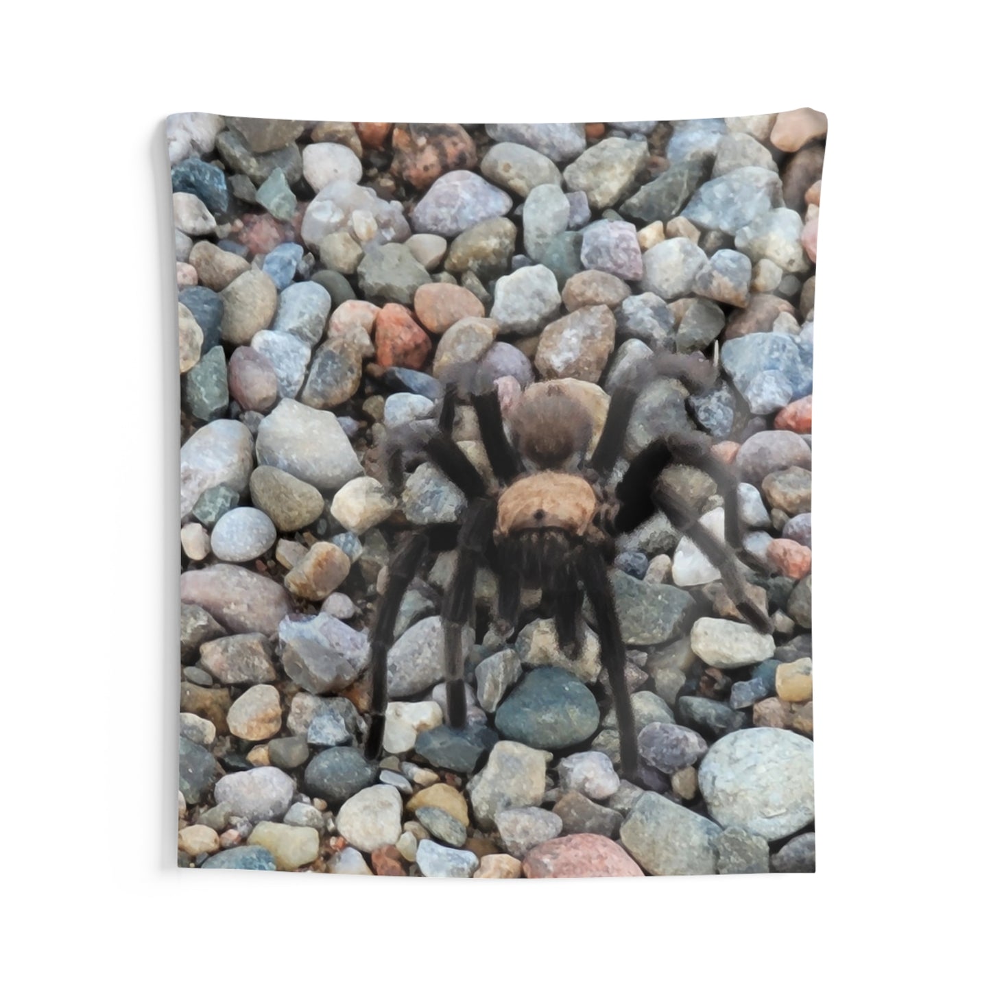 Custom Printed Wall Tapestry Available In Multiple Sizes From The Wildlife Series At Intriguing Vistas