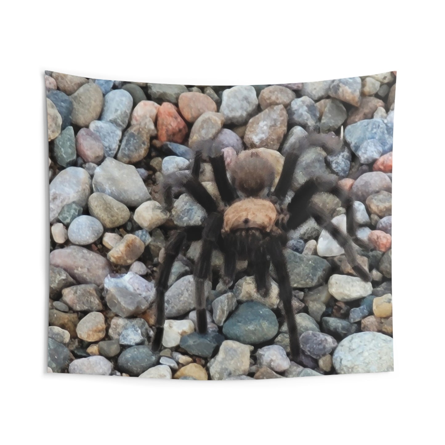 Custom Printed Wall Tapestry Available In Multiple Sizes From The Wildlife Series At Intriguing Vistas