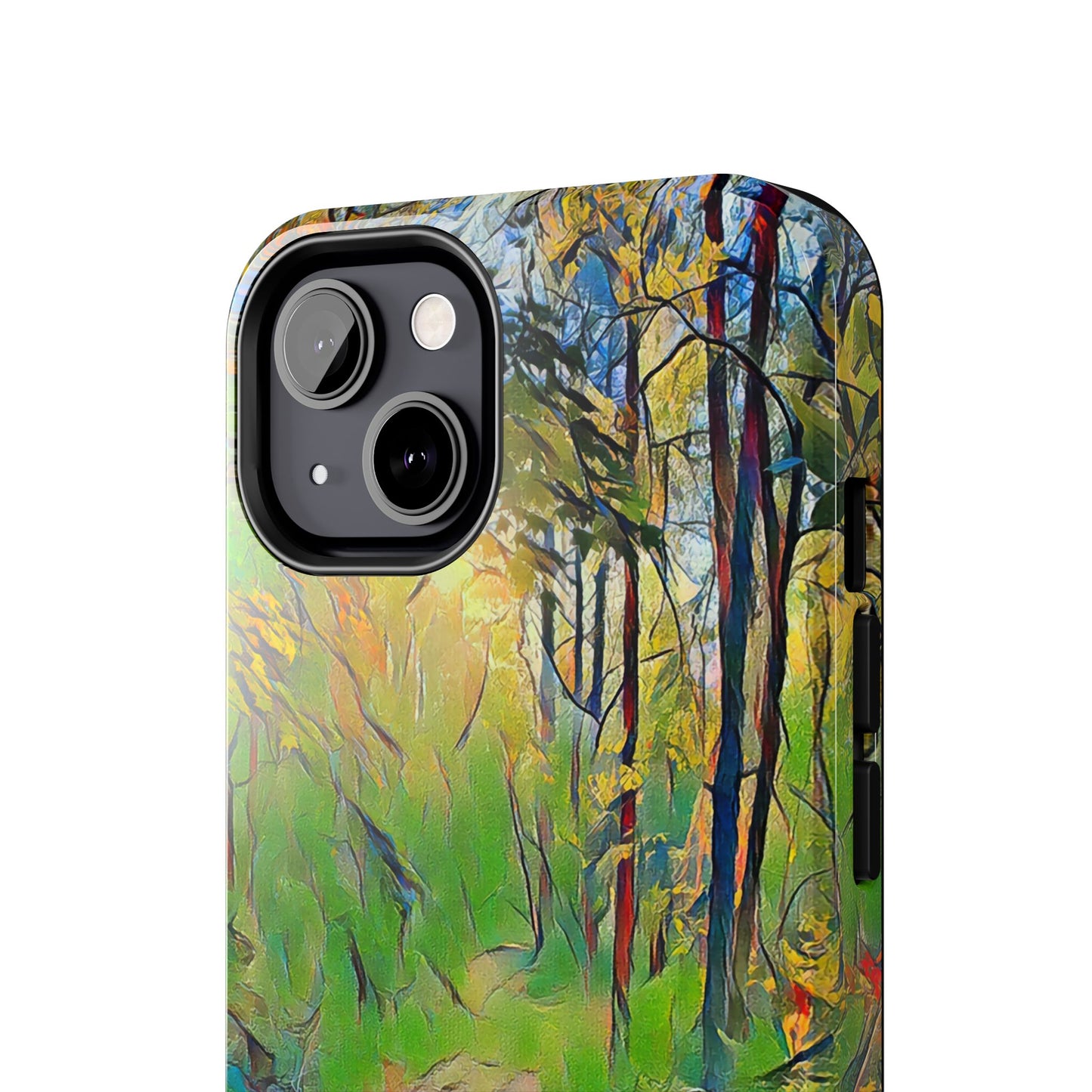 Custom Tough Phone Case for iPhone & Samsung From The Scenery Series at Intriguing Vistas
