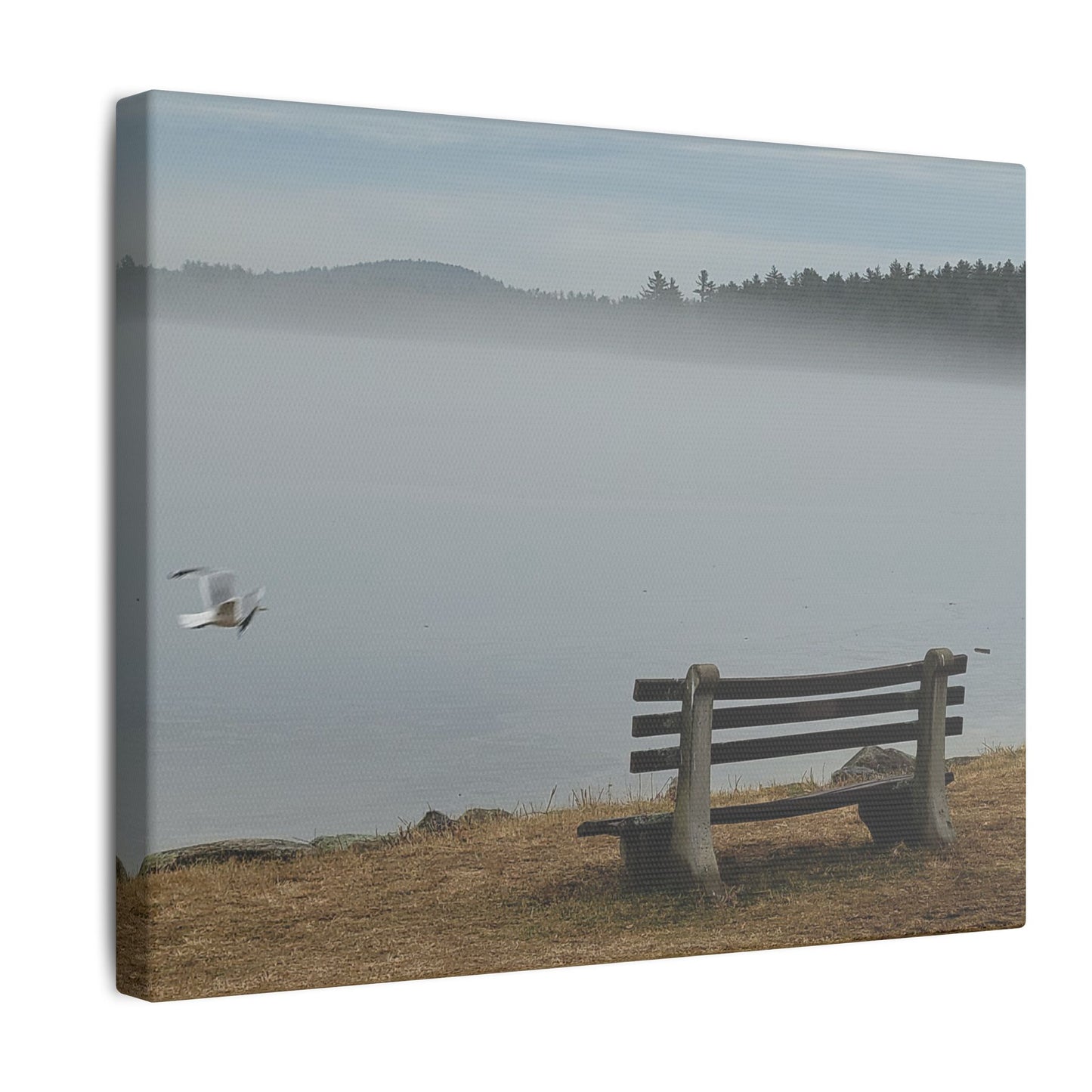 Canvas Print in Multiple Landscape Sizes from the Wildlife Series at Intriguing Vistas