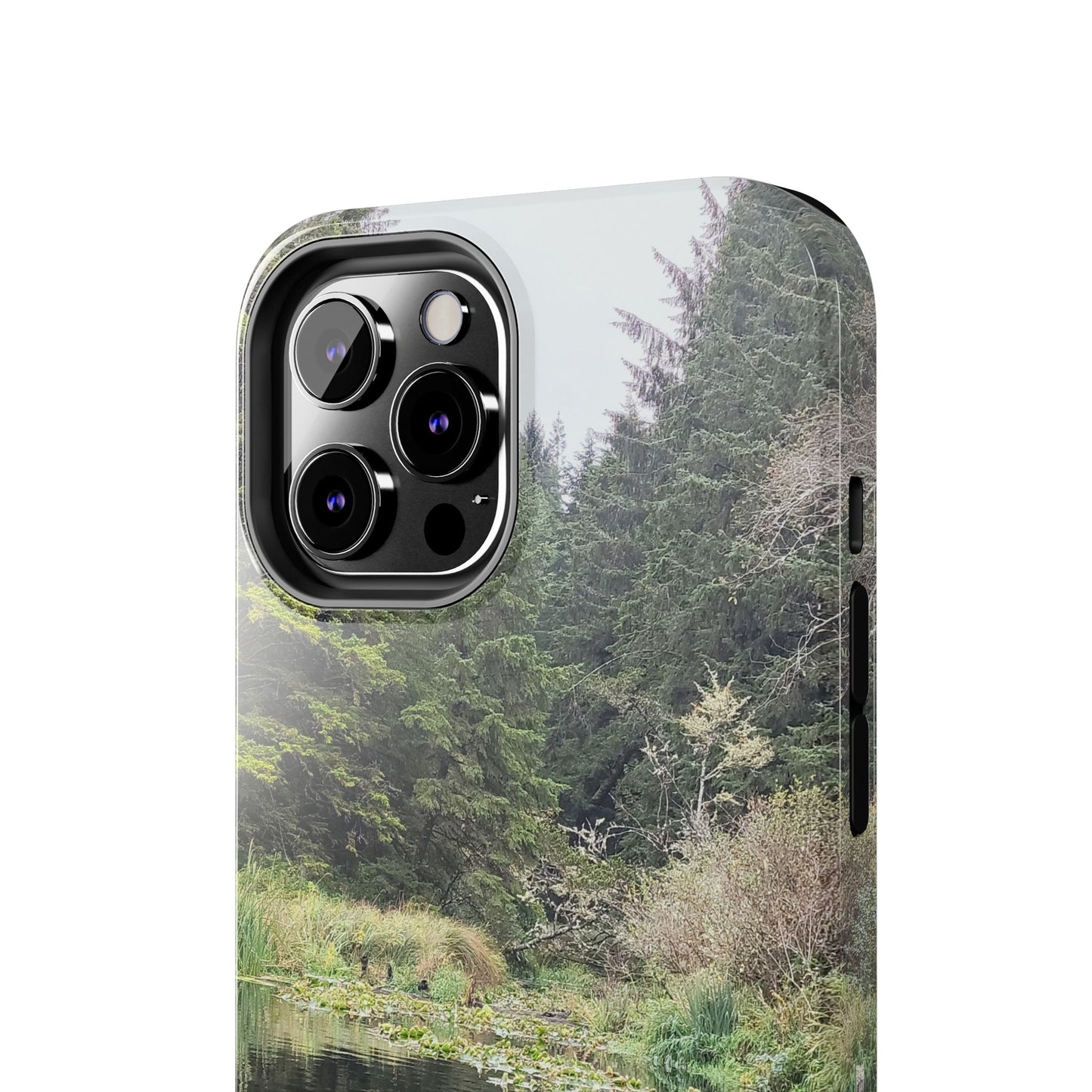 Custom Tough Phone Case for iPhone & Samsung From The Scenery Series at Intriguing Vistas