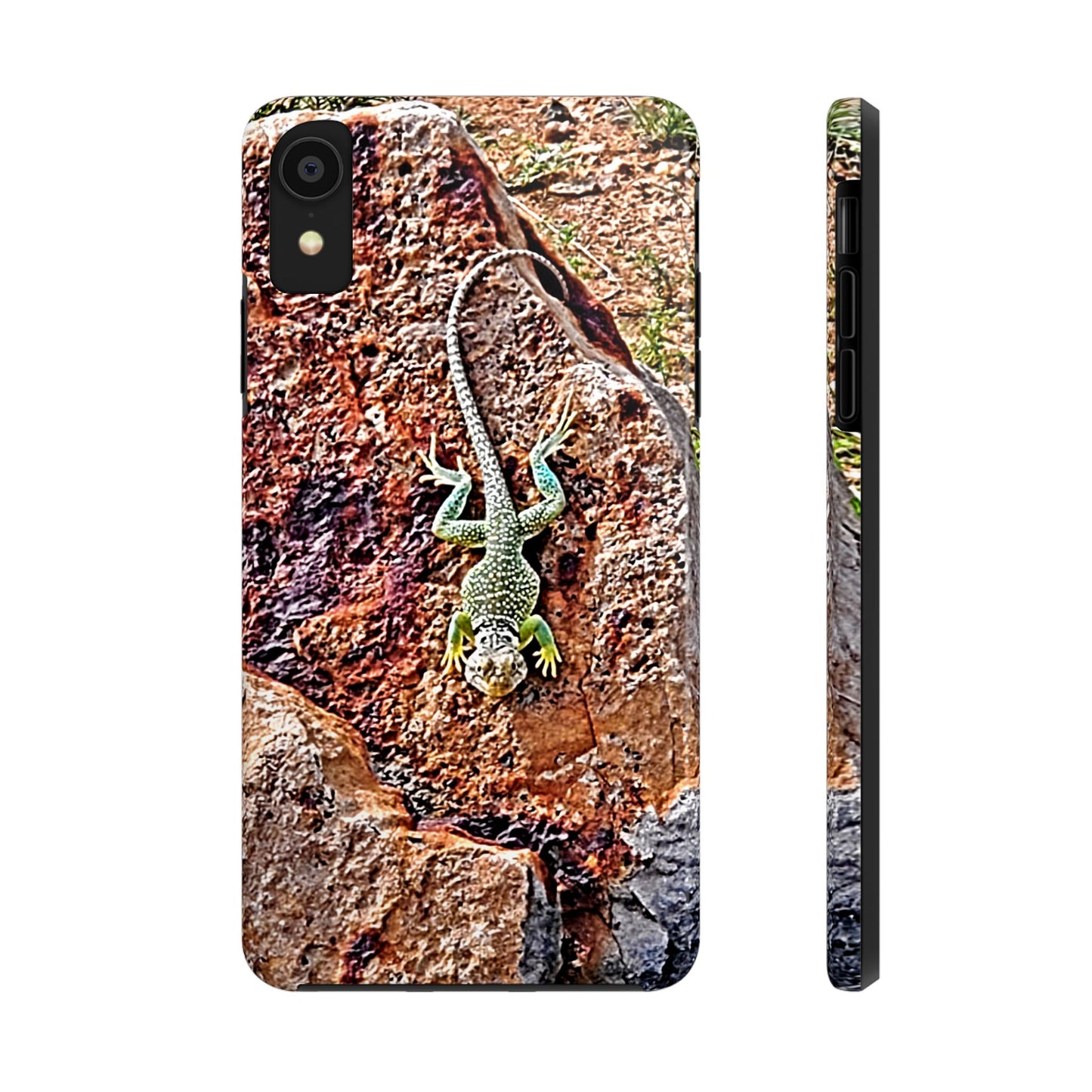 Custom Tough Phone Case for iPhone & Samsung From The Wildlife Series at Intriguing Vistas