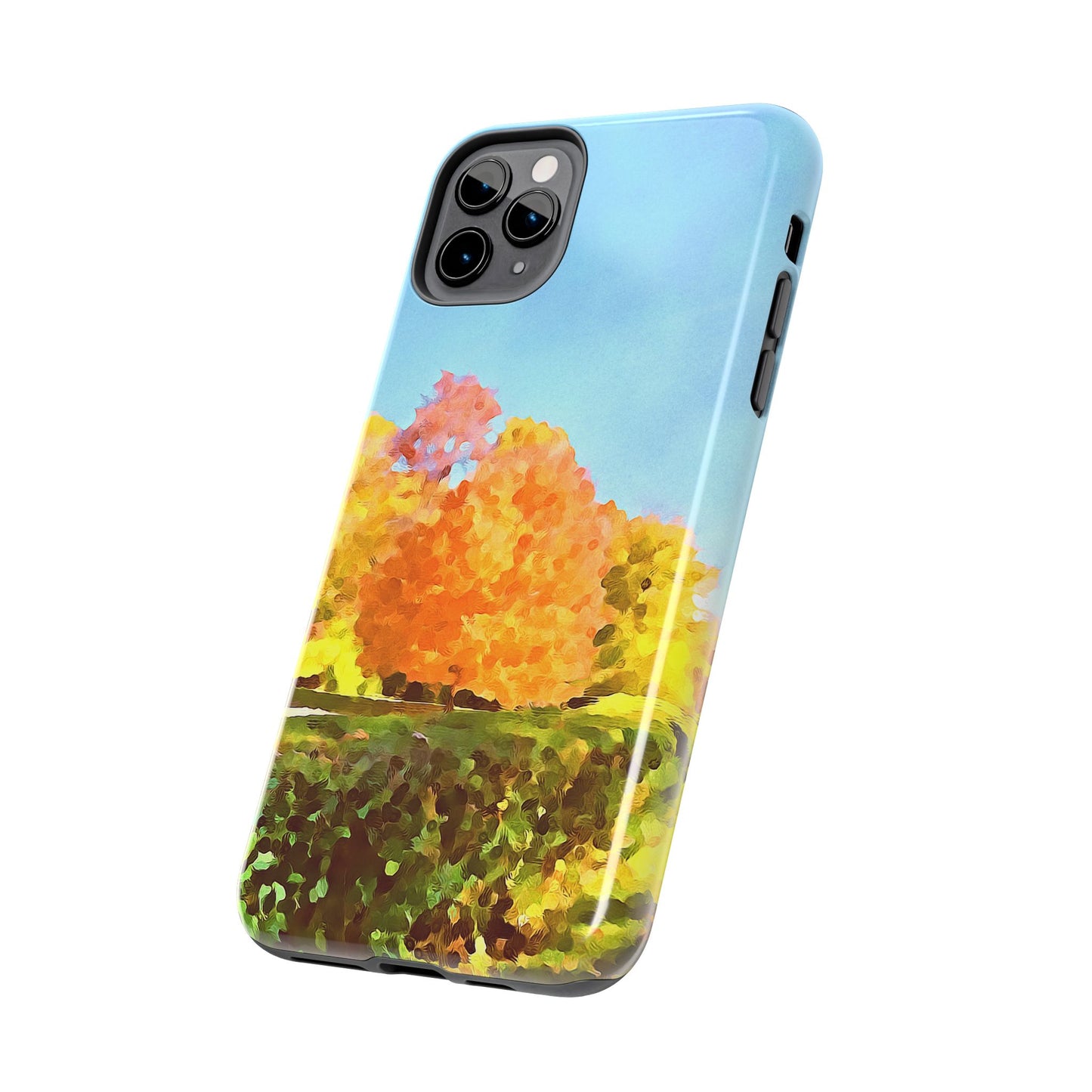 Custom Tough Phone Case for iPhone & Samsung From The Scenery Series at Intriguing Vistas