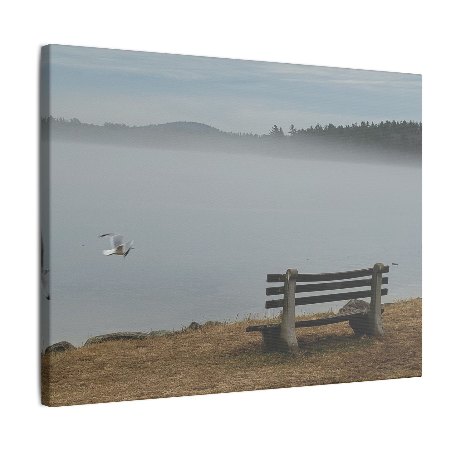 Canvas Print - Morning Mist