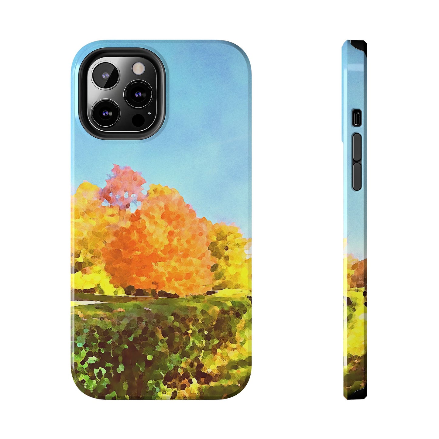 Custom Tough Phone Case for iPhone & Samsung From The Scenery Series at Intriguing Vistas