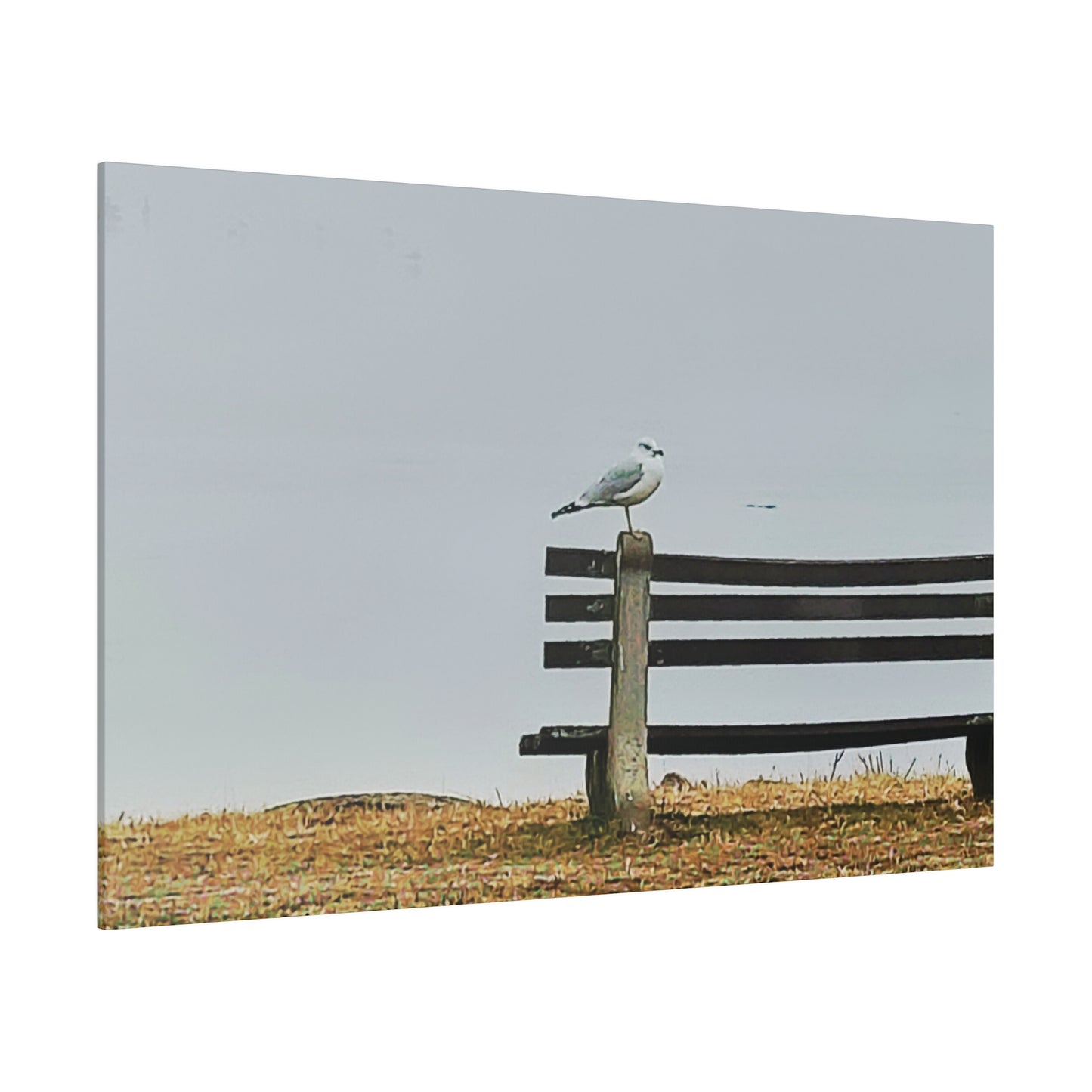 Canvas Print in Multiple Landscape Sizes from the Wildlife Series at Intriguing Vistas