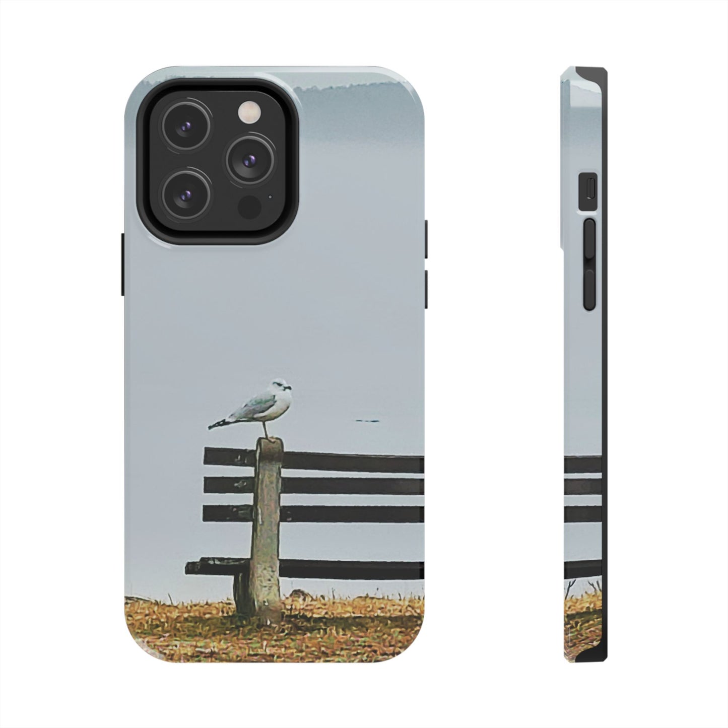 Custom Tough Phone Case for iPhone & Samsung From The Scenery Series at Intriguing Vistas