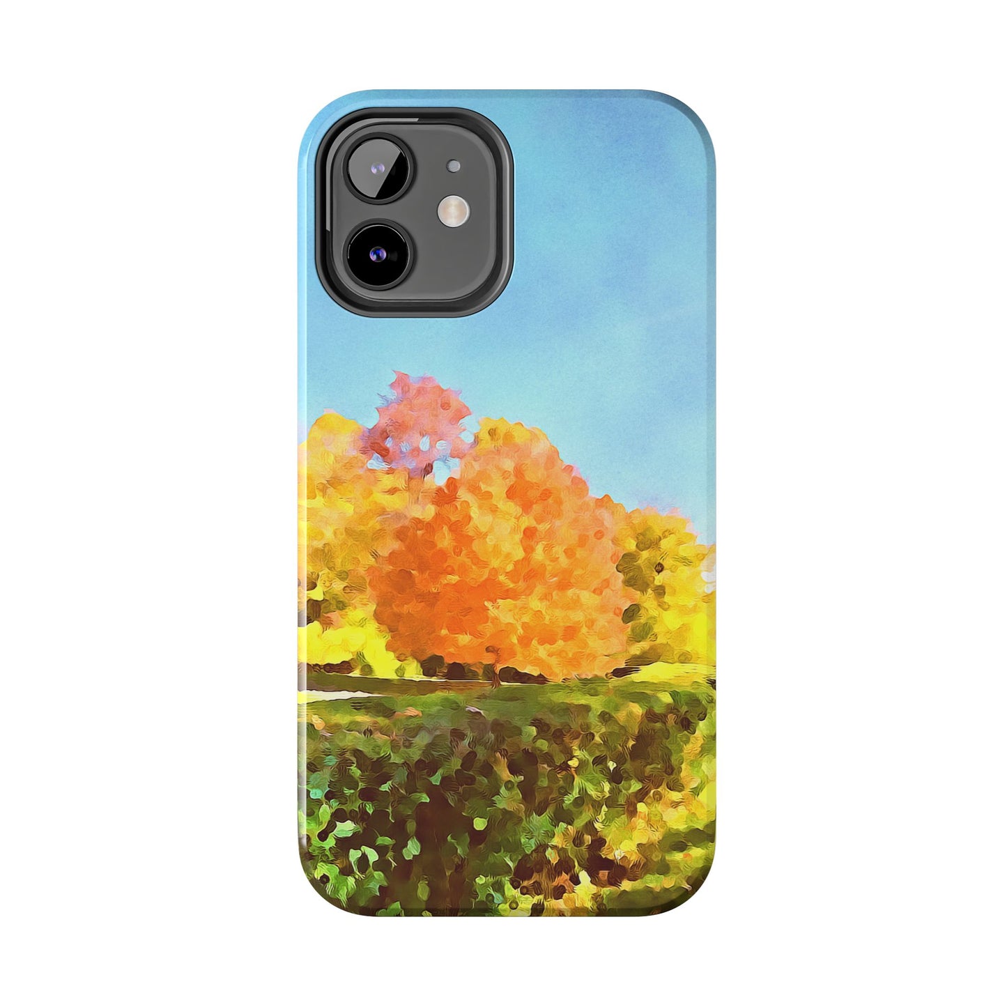Custom Tough Phone Case for iPhone & Samsung From The Scenery Series at Intriguing Vistas