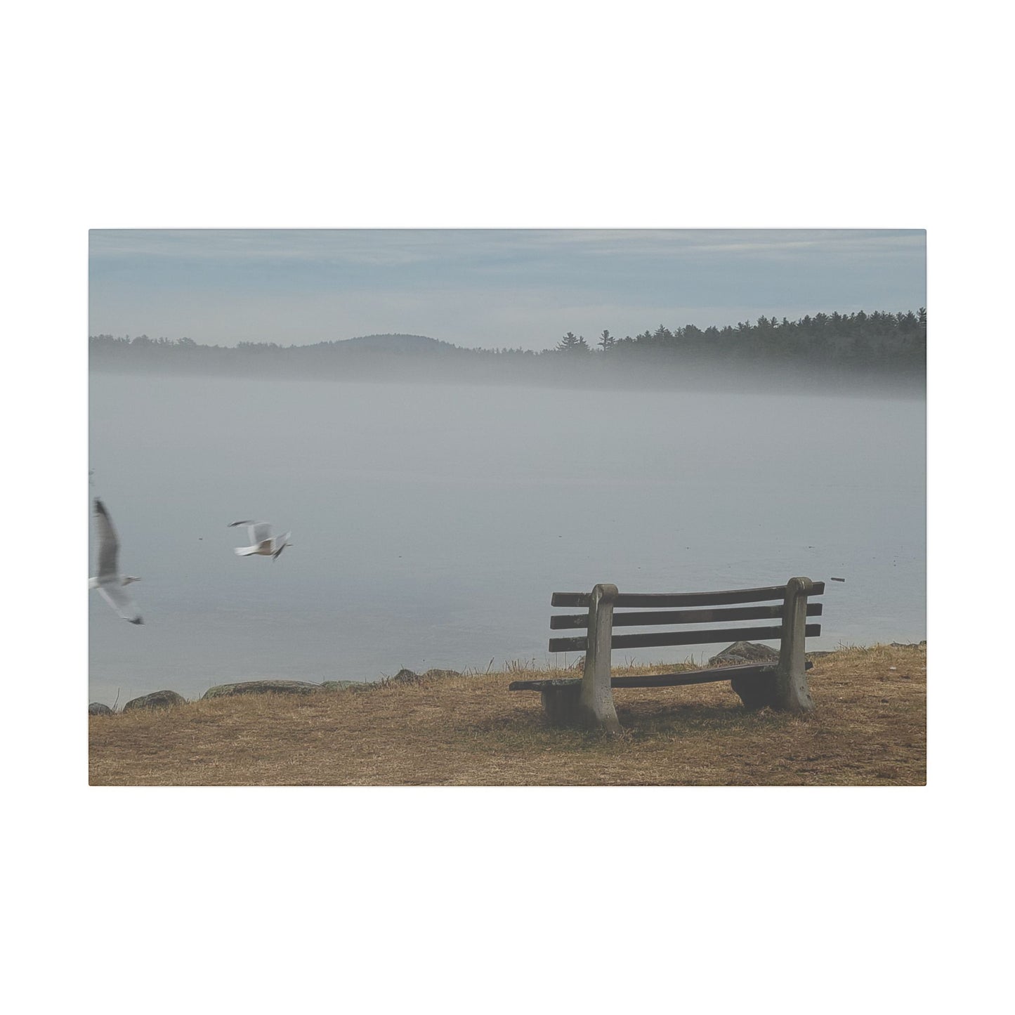Canvas Print in Multiple Landscape Sizes from the Wildlife Series at Intriguing Vistas